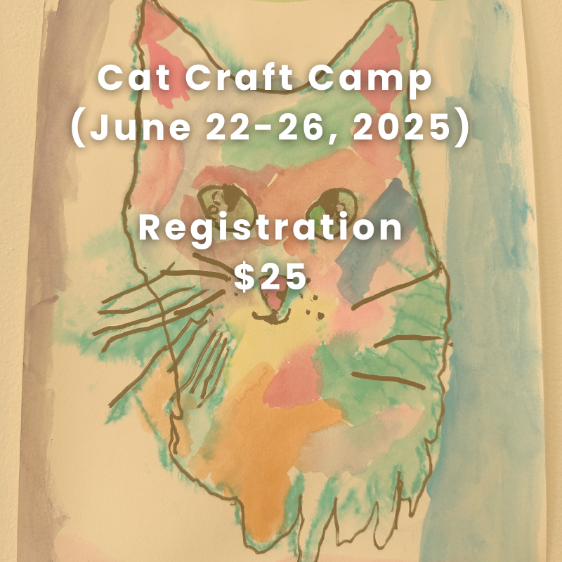 Cat Craft Camp (June 22-26, 2025) REGISTRATION