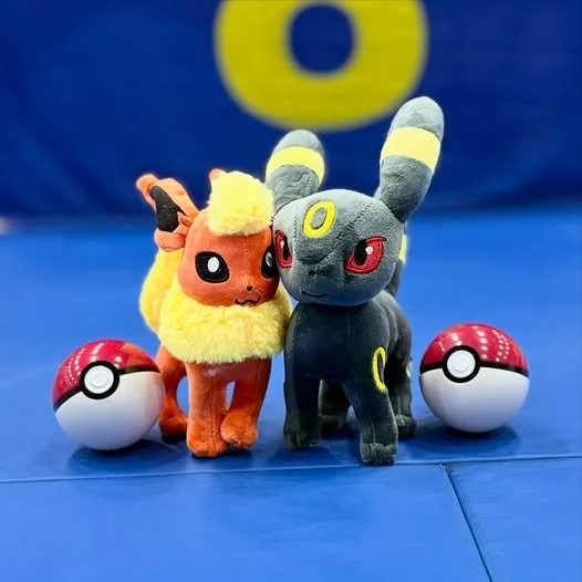 Dream's Pokemon Project
