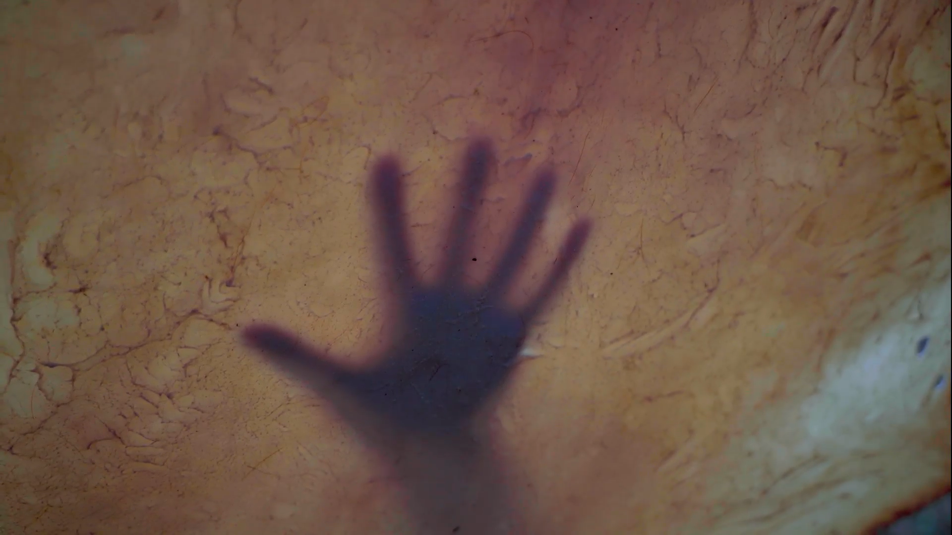 Screenshot (20).png