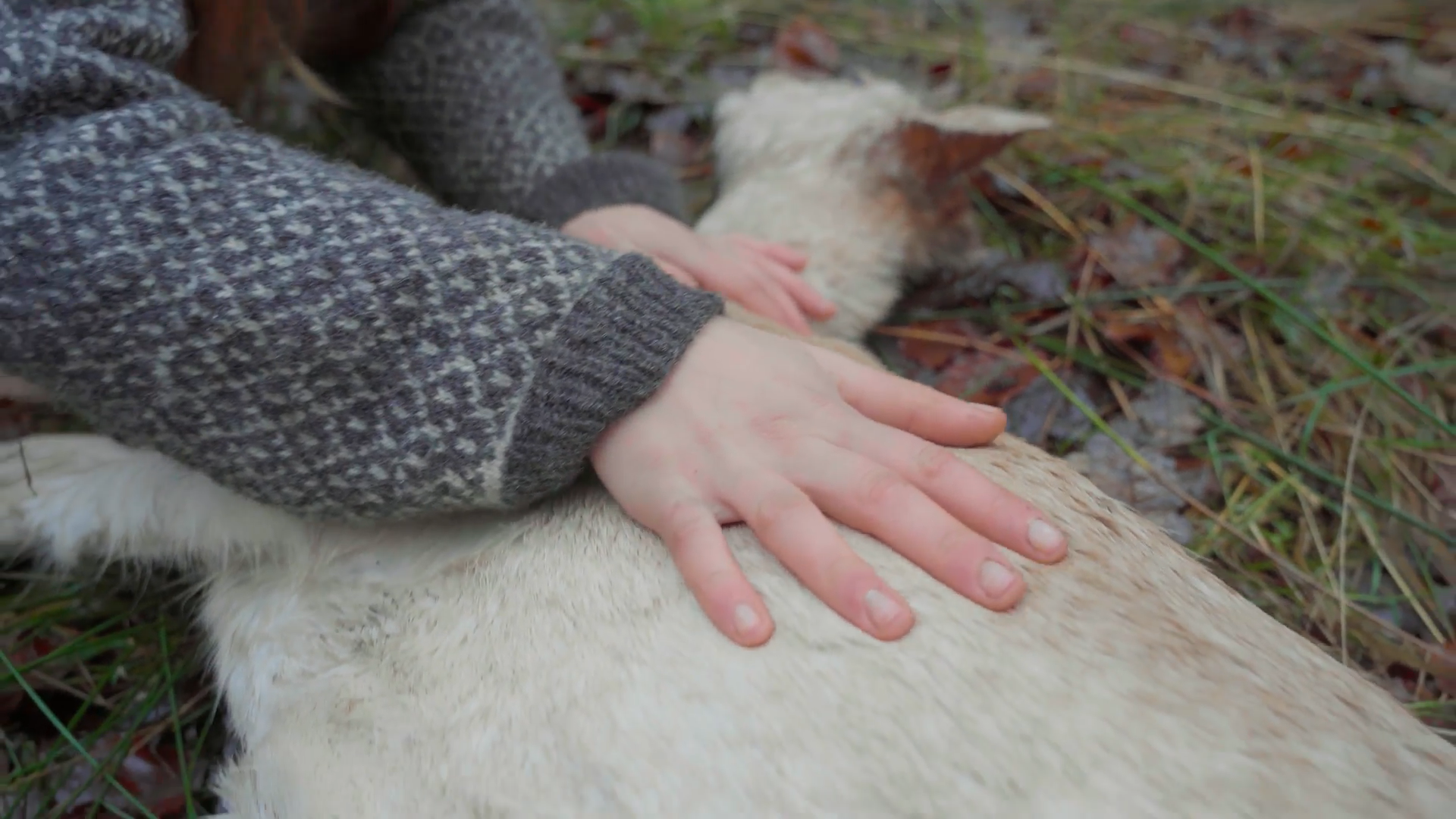 Screenshot (10).png