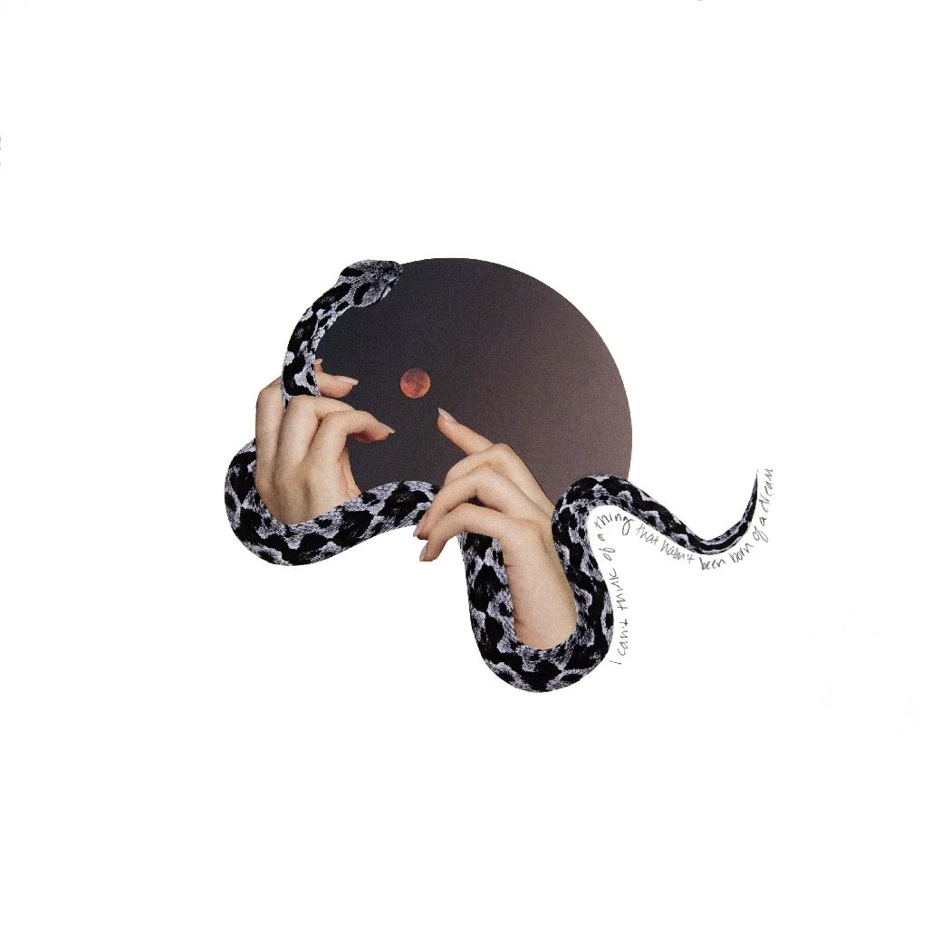 NewDreamLR 2.JPEG