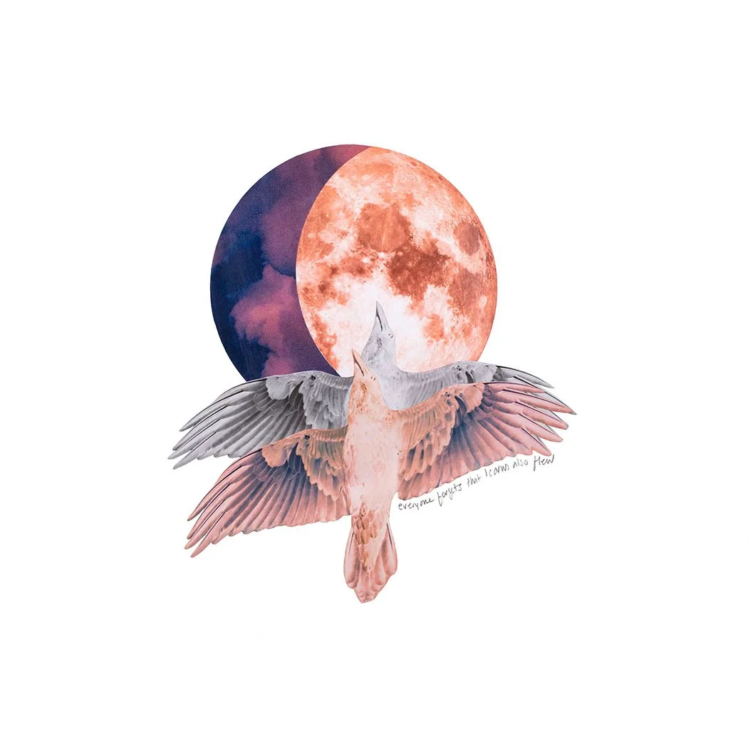 BeforeTheFallLR.JPEG