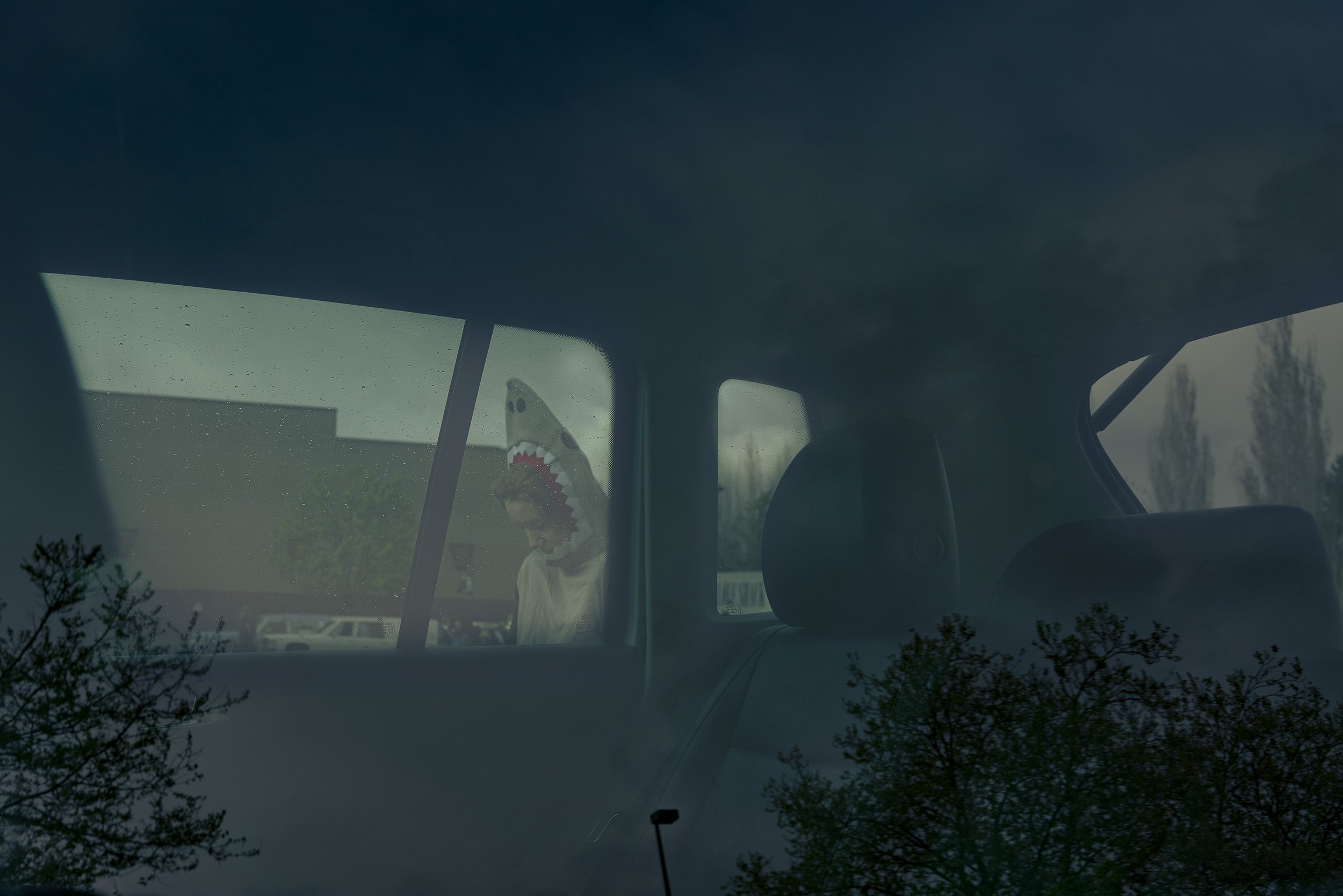 Avenue of Roses-15_300dpi.jpg