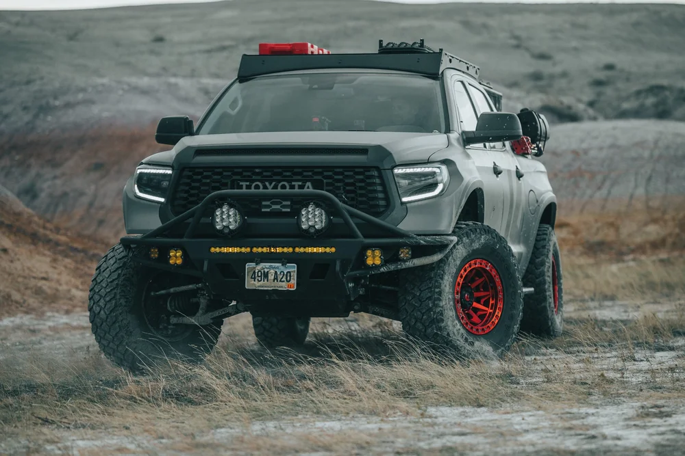 PORTFOLIO — LUCID WRAPS