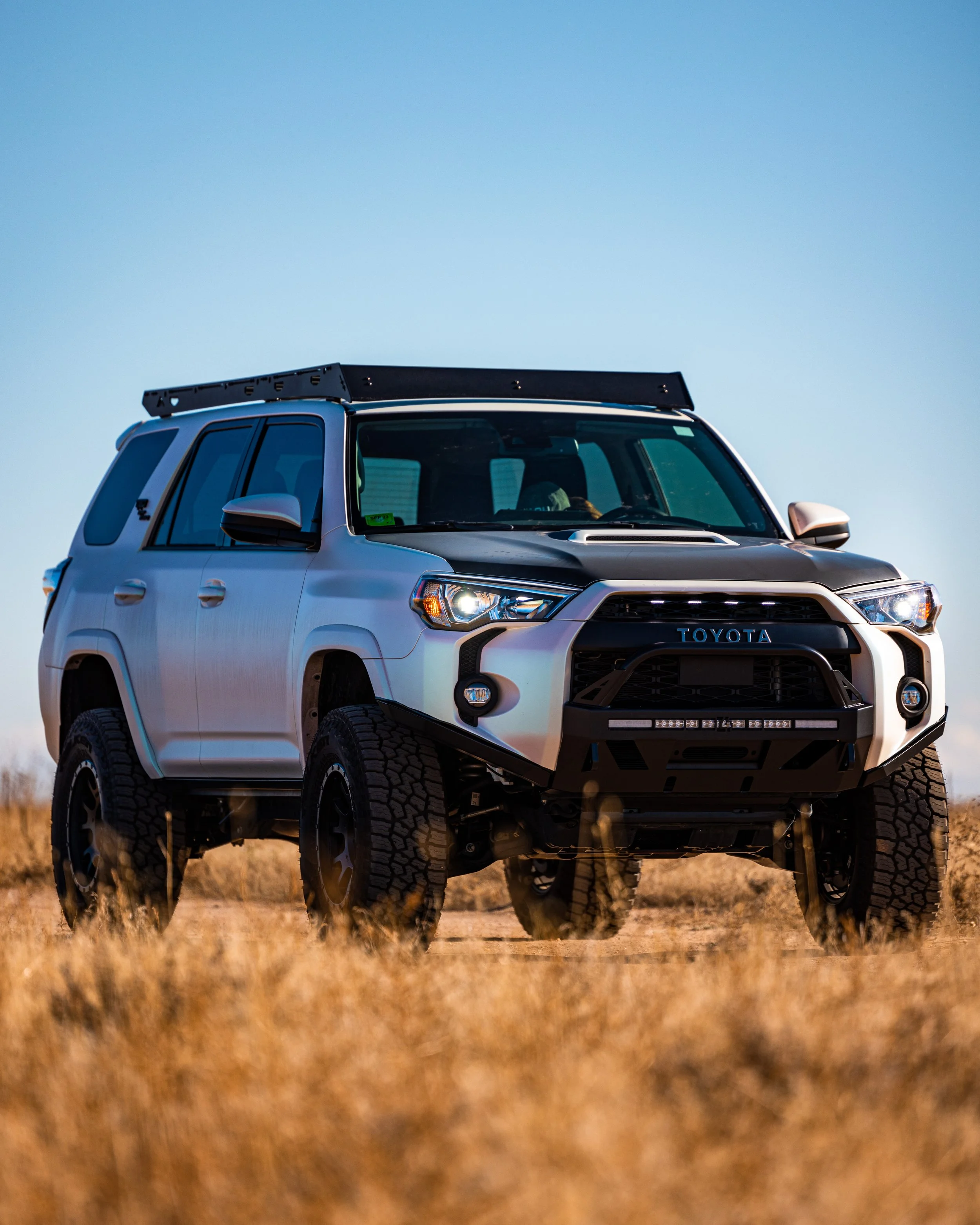 SERVICES — LUCID WRAPS