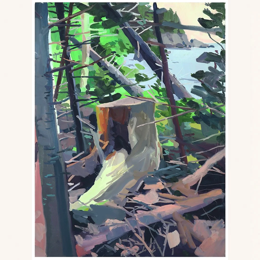 Shane Neufeld | Forest Clearing | Oil on Canvas | 48 x 36 inches | 2023