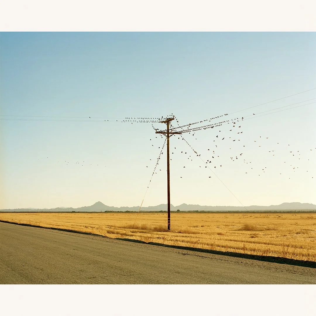 Scott Rossi | Untitled (Imperial Valley, California) | C-Prints on Canson Baryta Photographique Paper | 40 x 60 inches