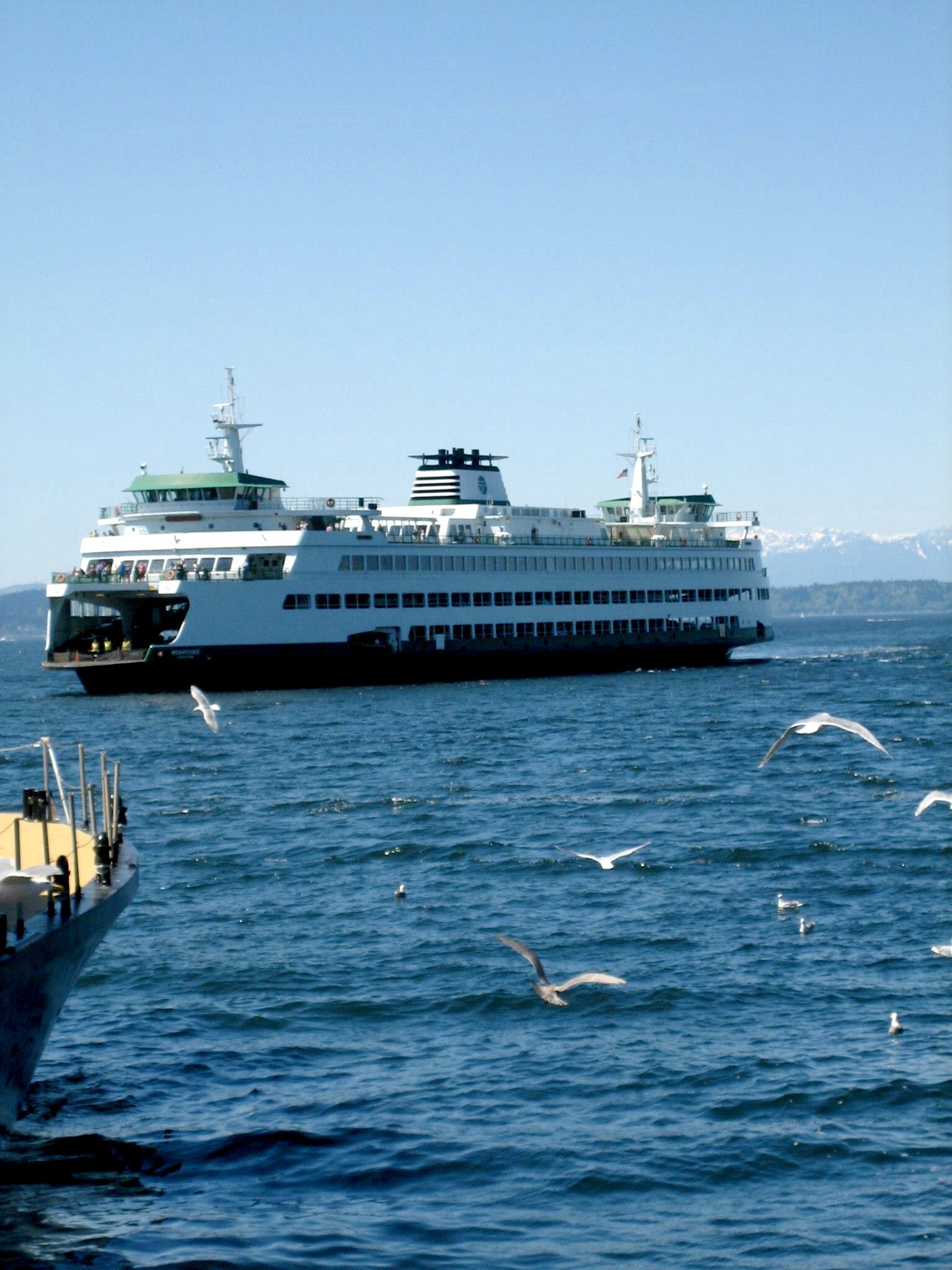 IMG_7511.jpg