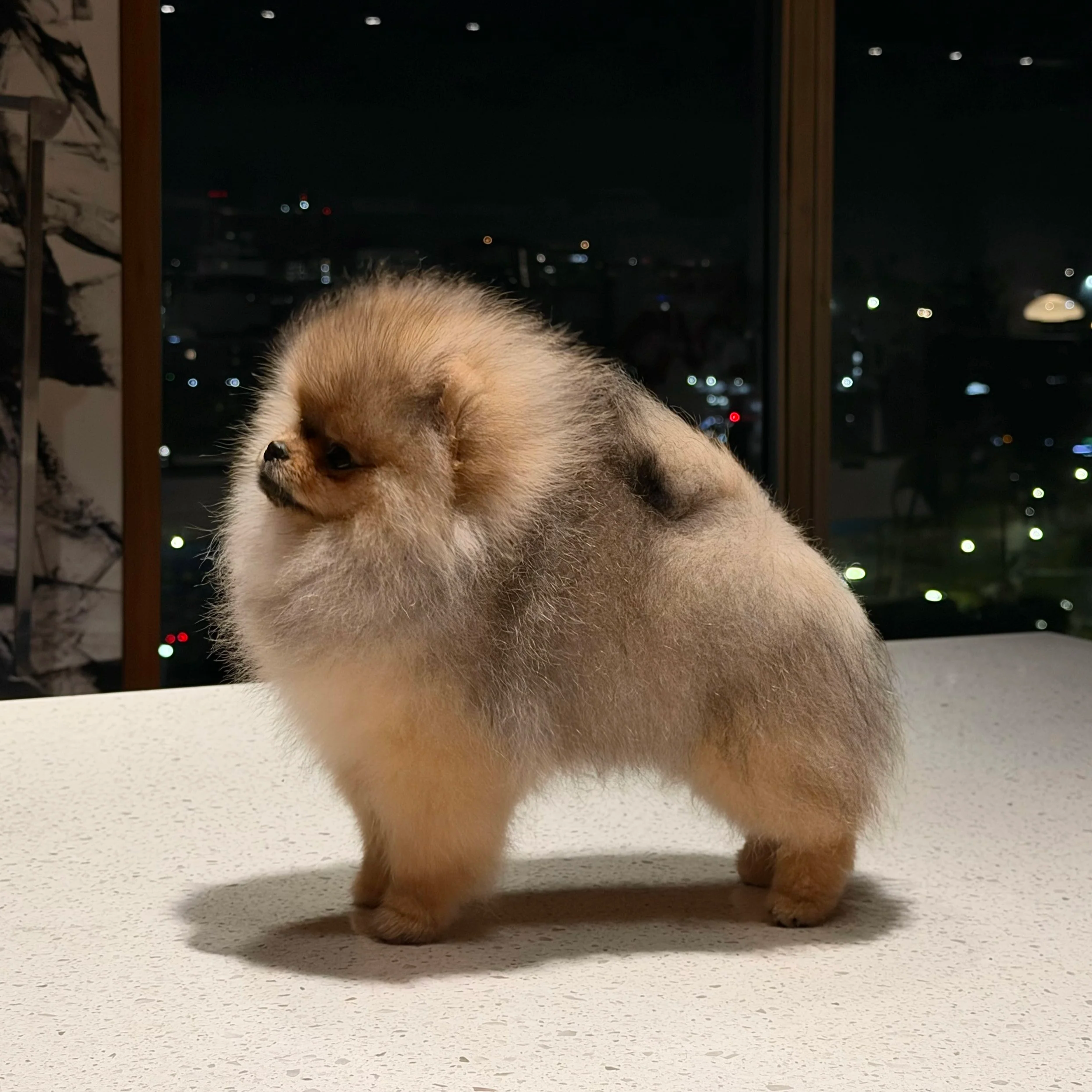  Aphros 
Vesper's Venus as a Boy