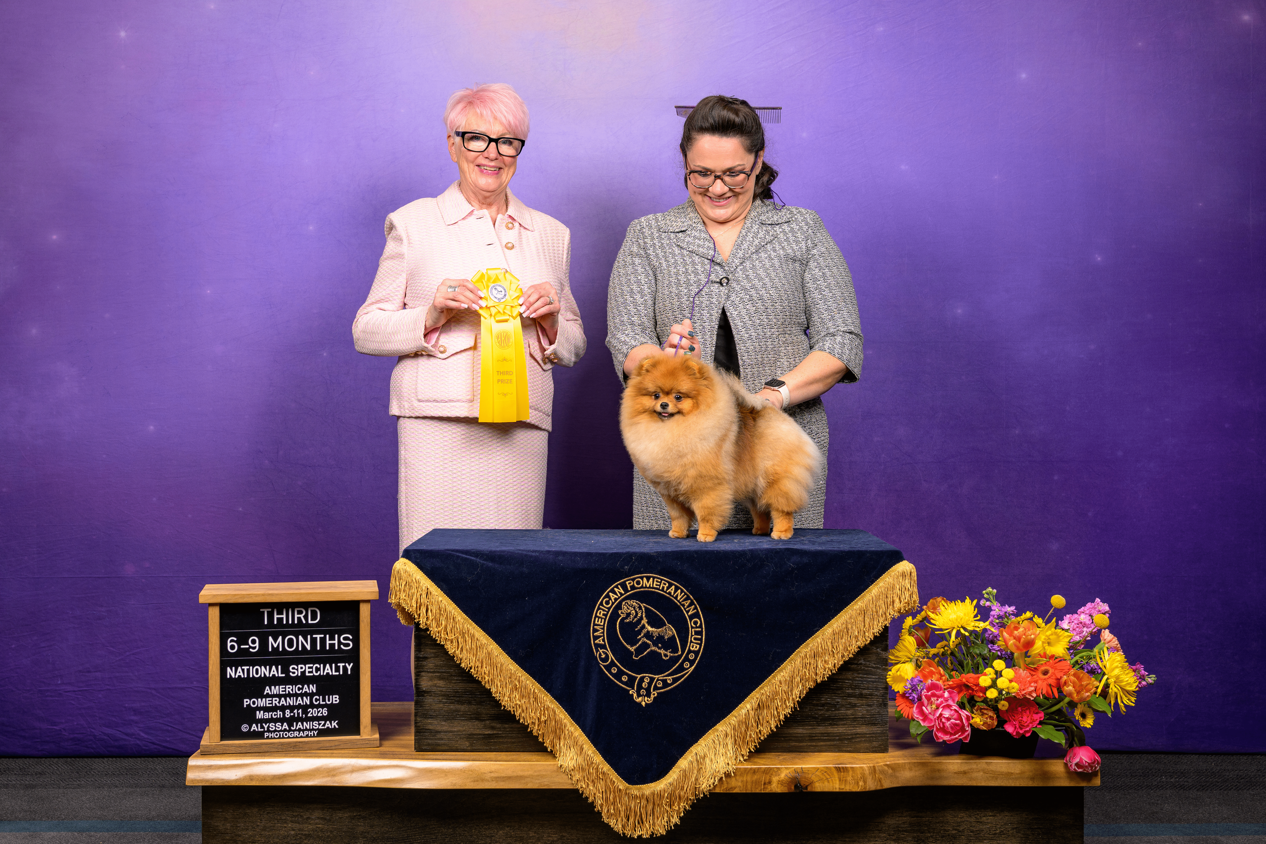 American Pomeranian Club
Specialty Show
2026