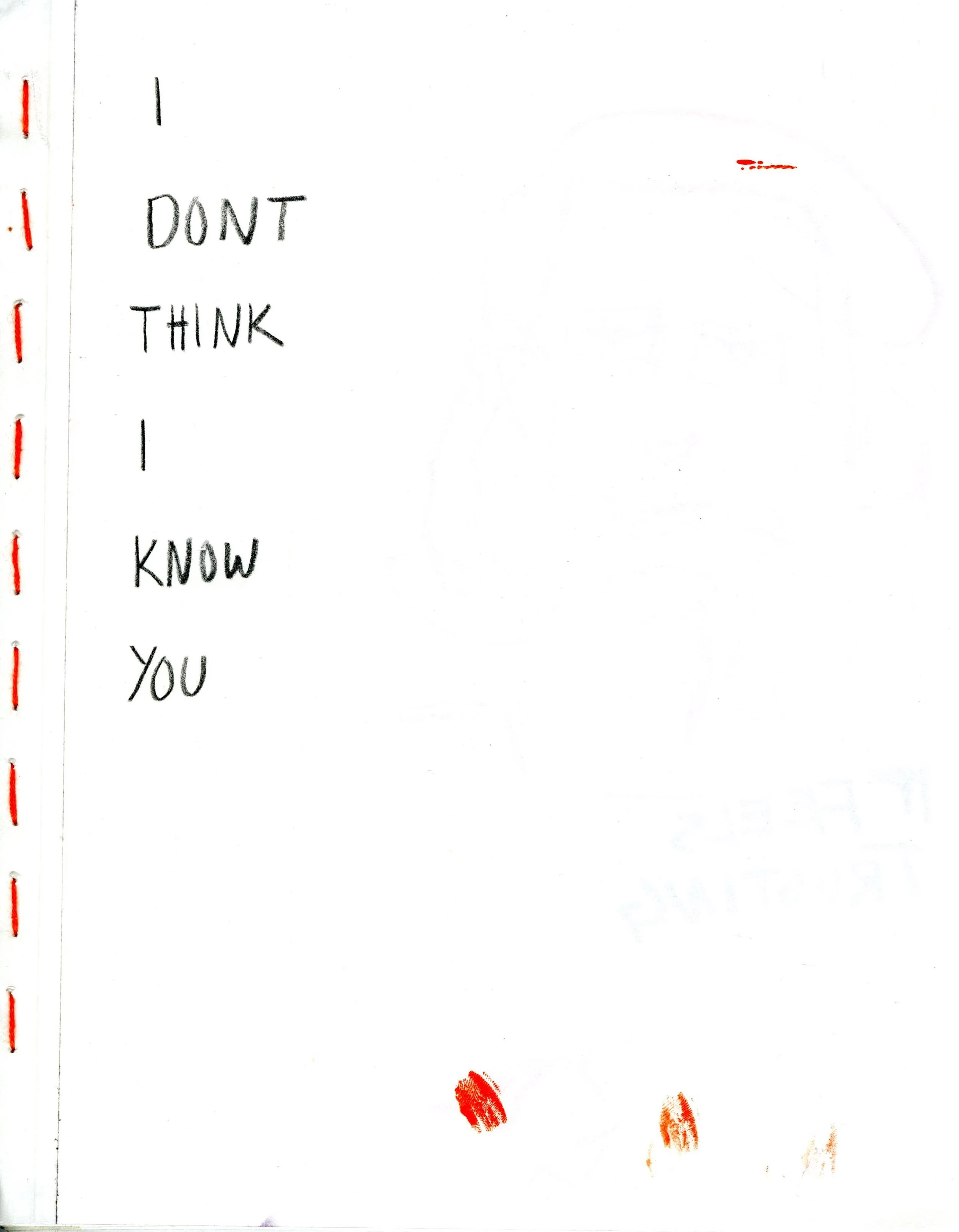 I DONT THINK I KNOW YOU: Digital Download