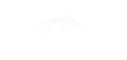 Megan Kemshead Photography