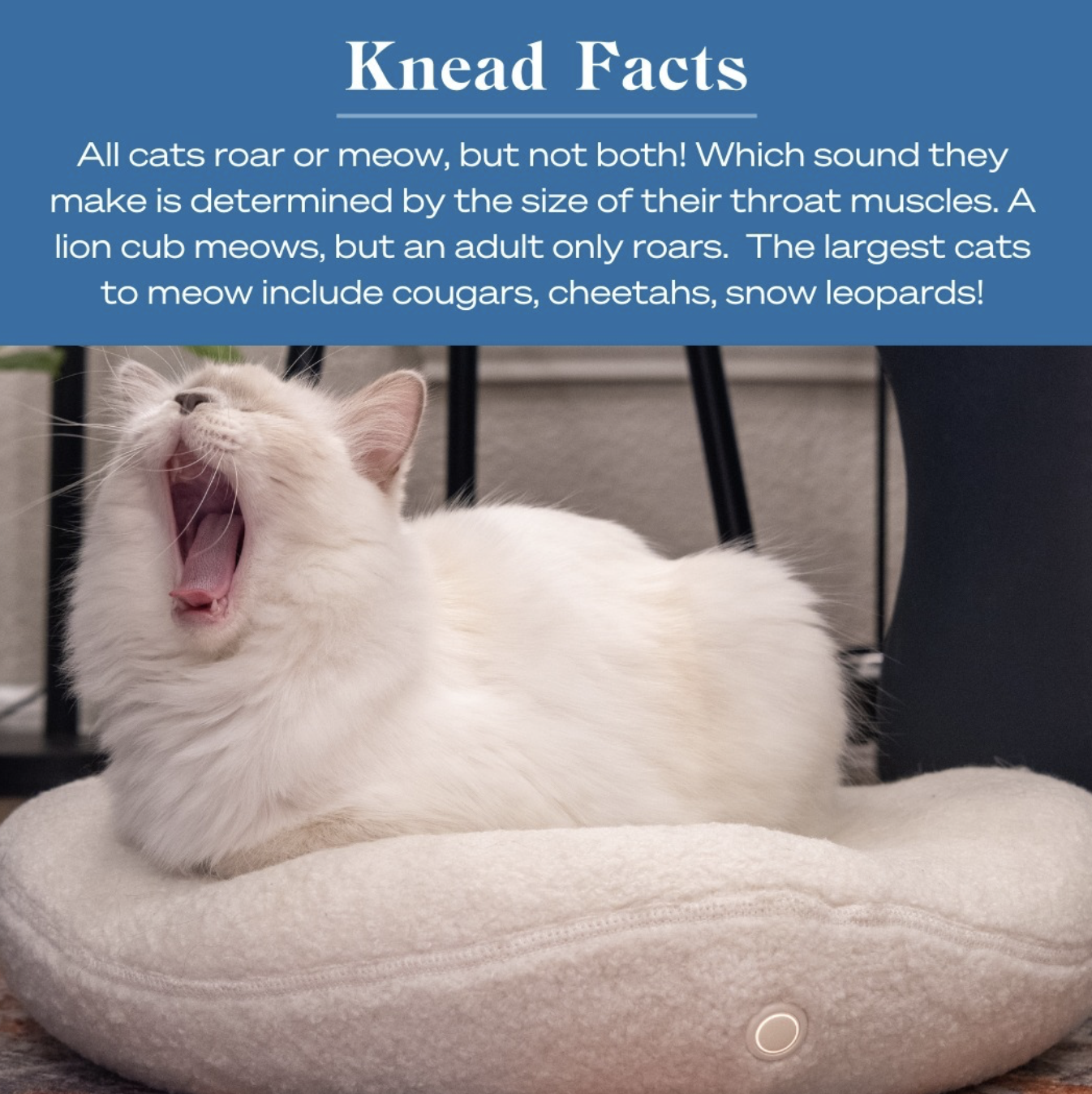 Screenshot 2026-01-14 at 5.23.20 PM.png