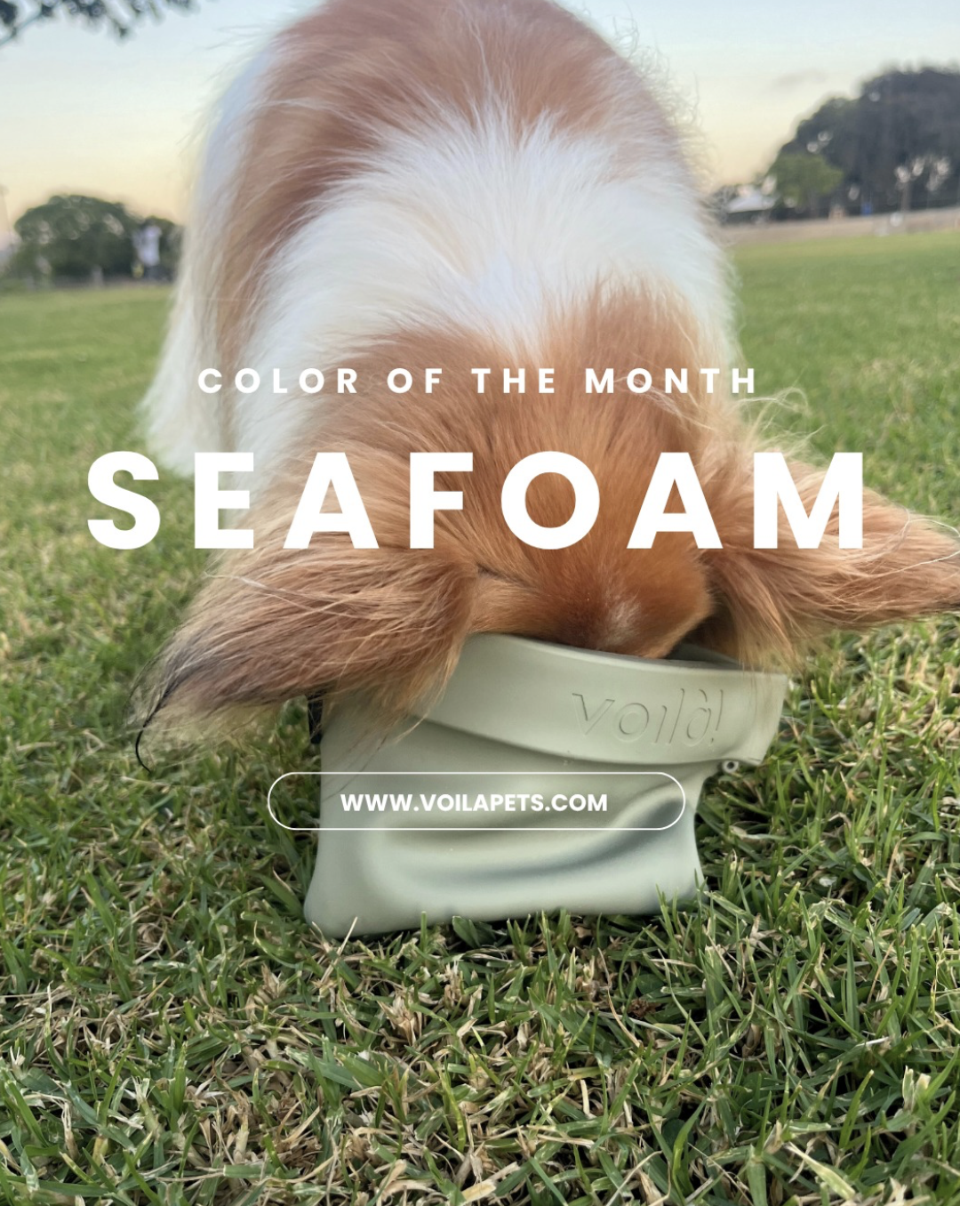 Screenshot 2026-01-14 at 4.07.32 PM.png