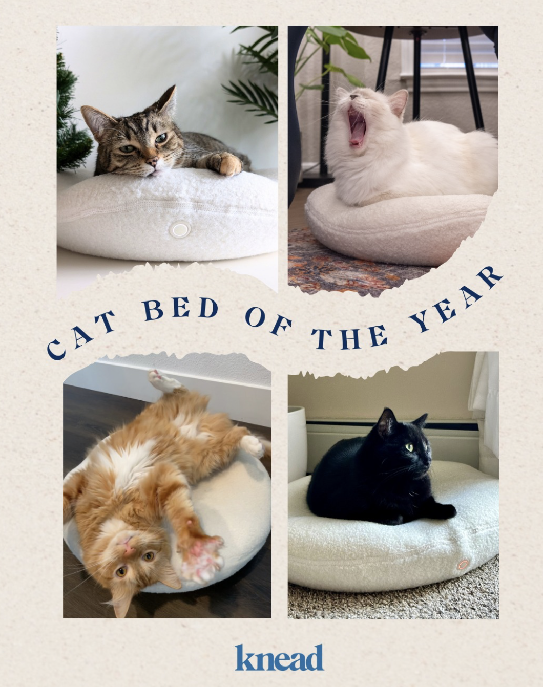 Screenshot 2026-01-14 at 5.21.09 PM.png