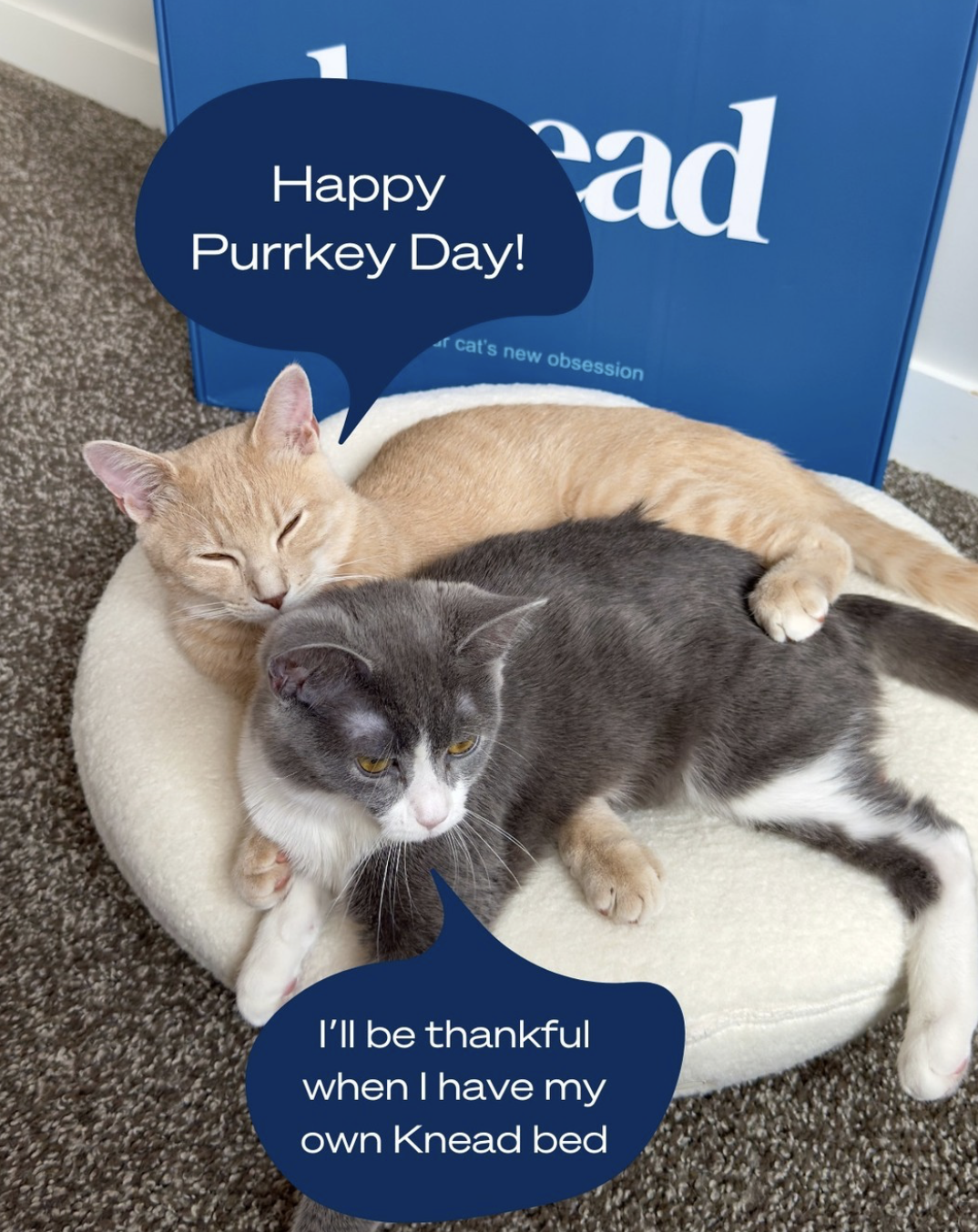 Screenshot 2026-01-14 at 5.23.38 PM.png