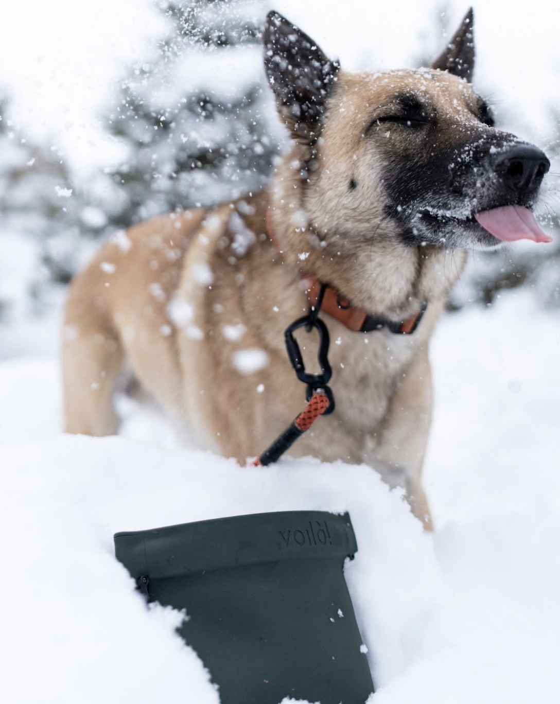 Screenshot 2026-01-14 at 3.56.49 PM.png