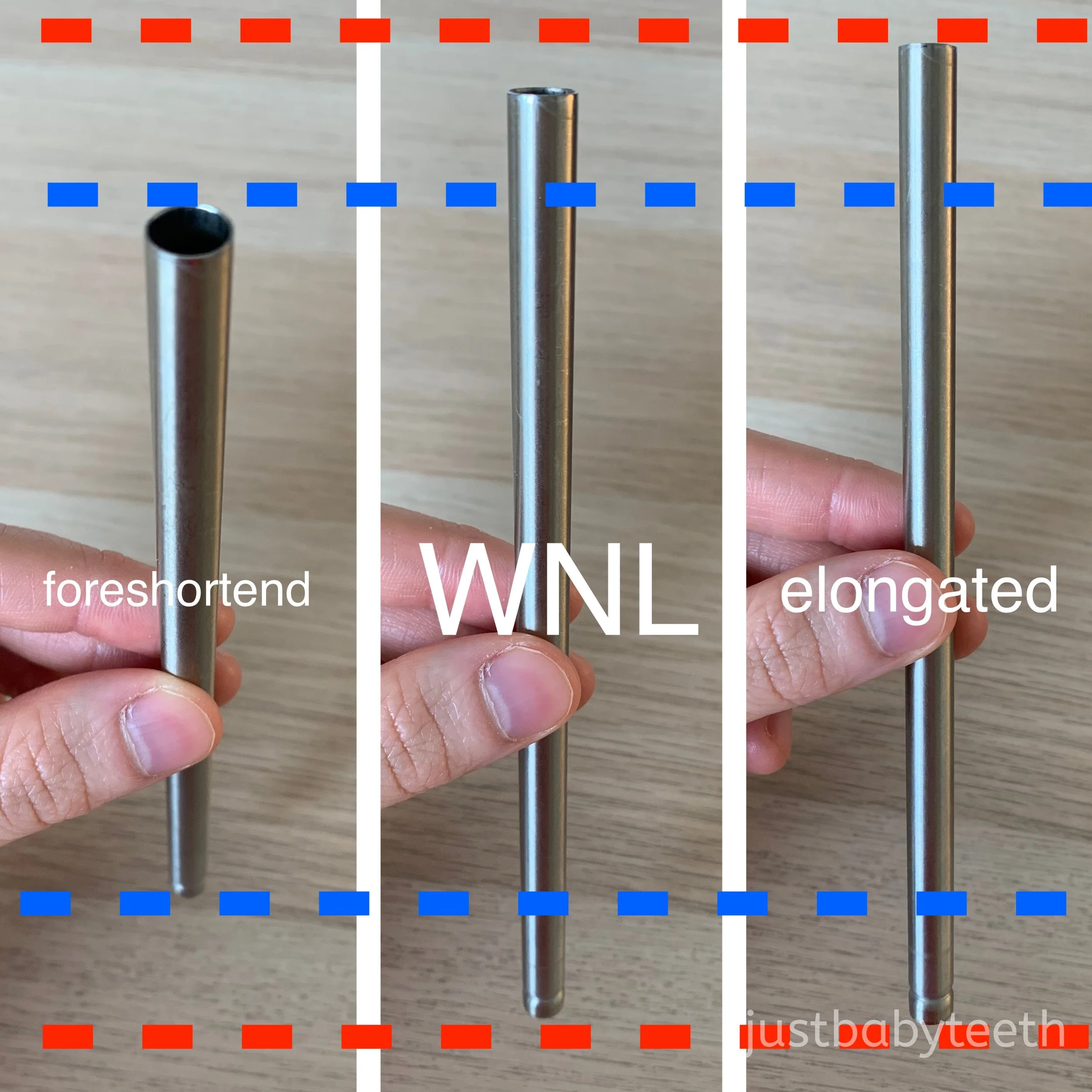  metal straw from different angles showing length differences from foreshorted to elongated 
