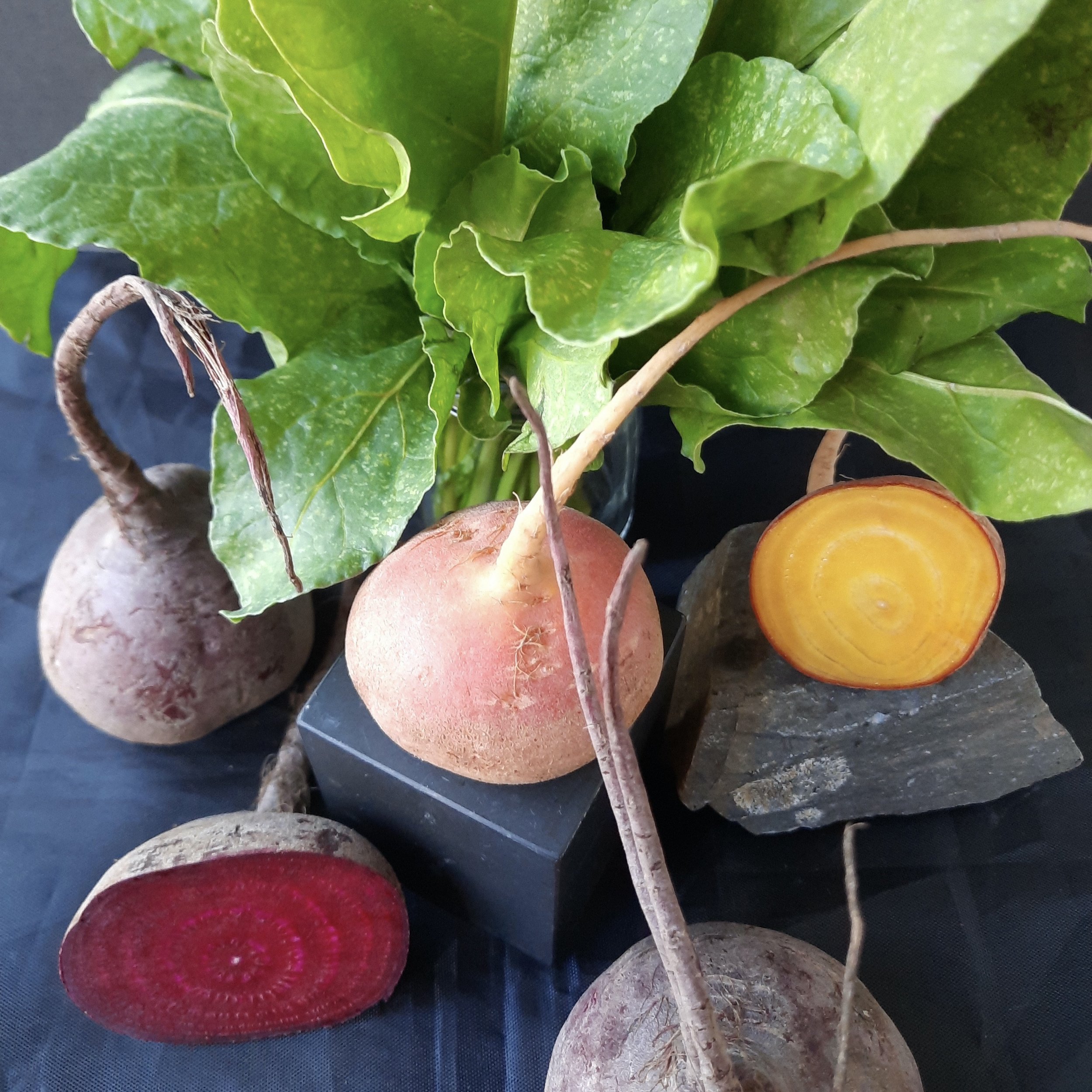 THE BEET