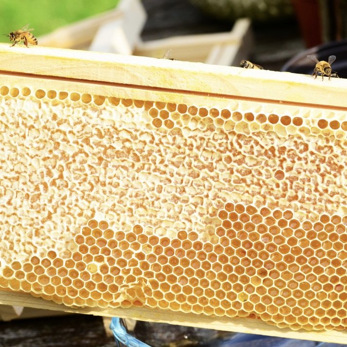 HONEY