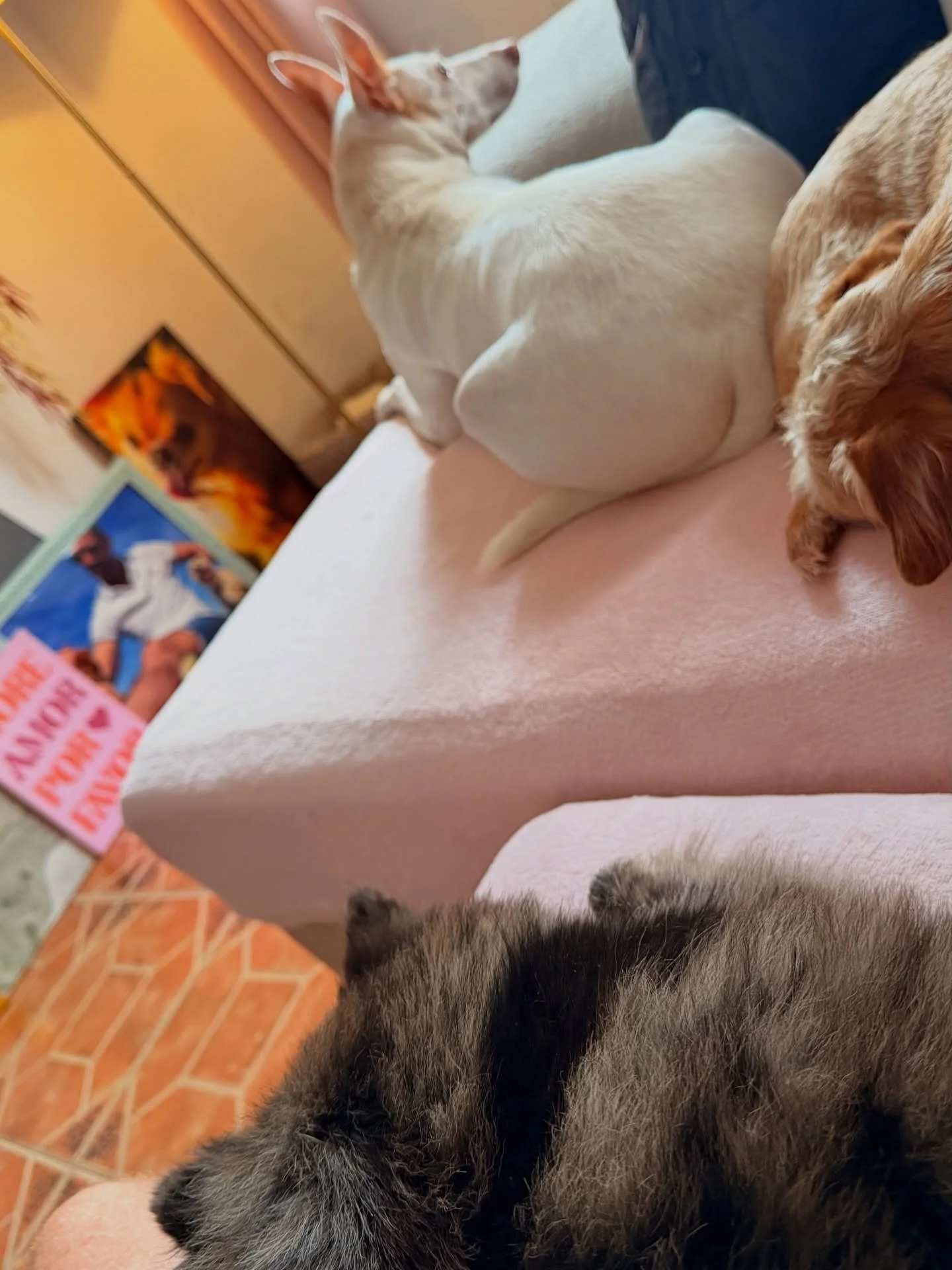 Little afternoon sit down with the boys as I learn to love myself and cope with how tiring it is being me #Imagine