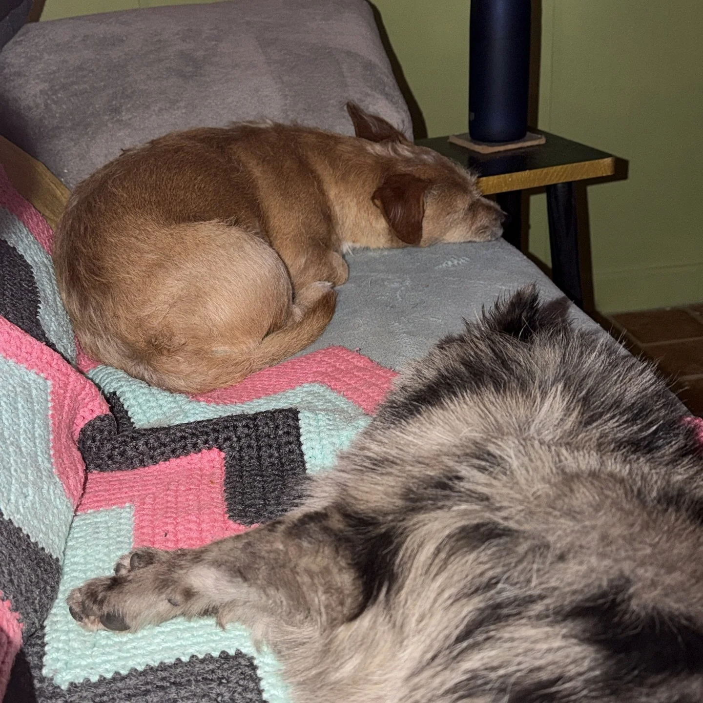 Two generations of greatness 🎀