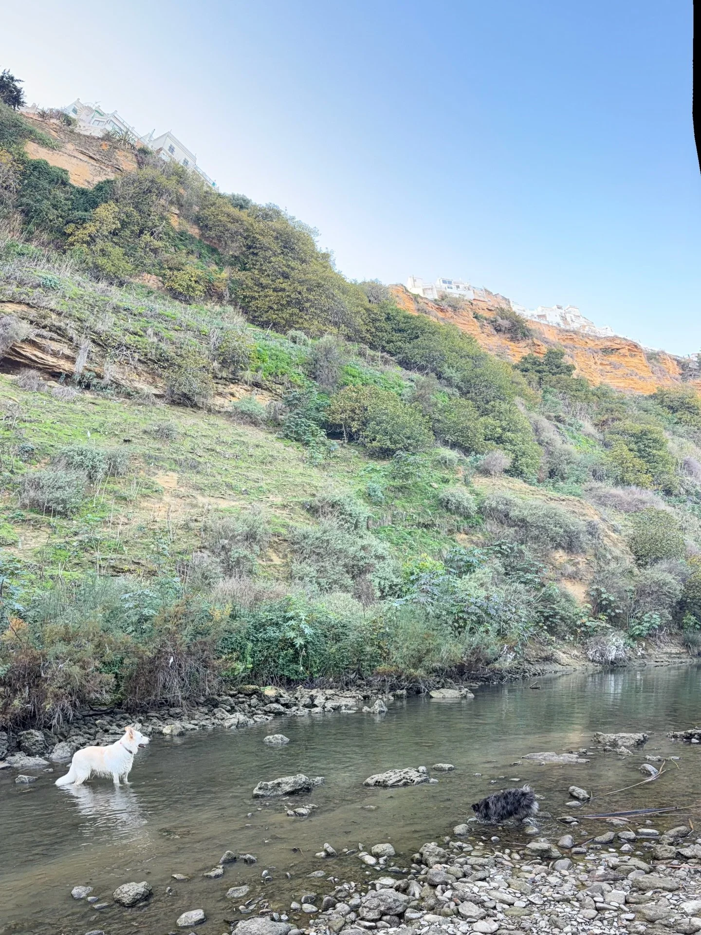 If the walk is not like this, we don&rsquo;t want it.