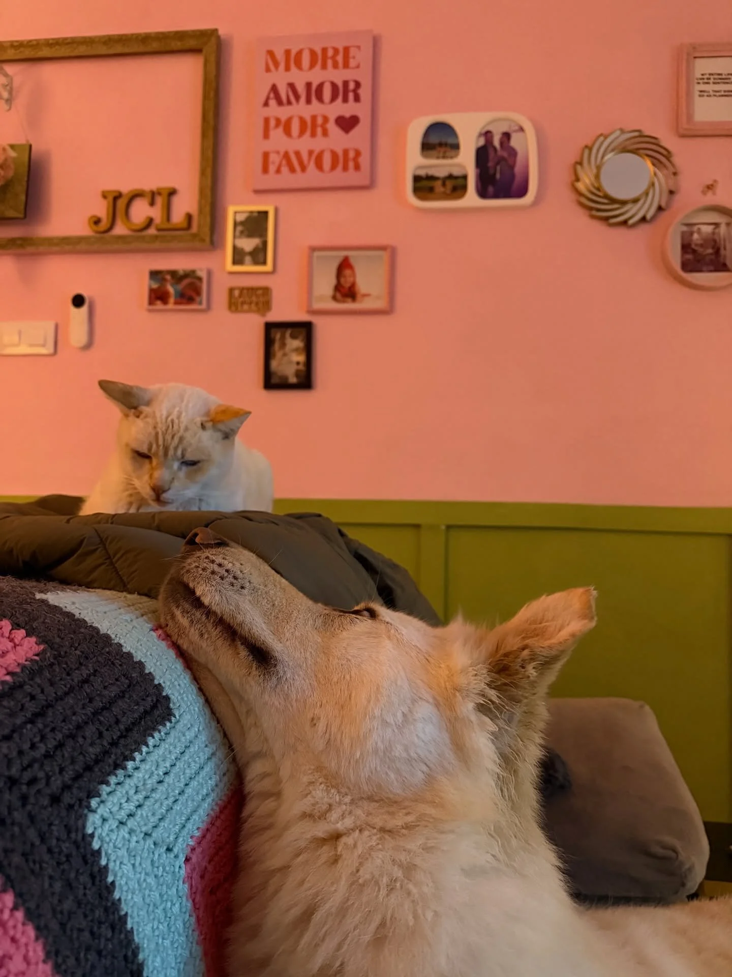 Toby used to look at me like that, now he only has eyes for Lucifer 😭