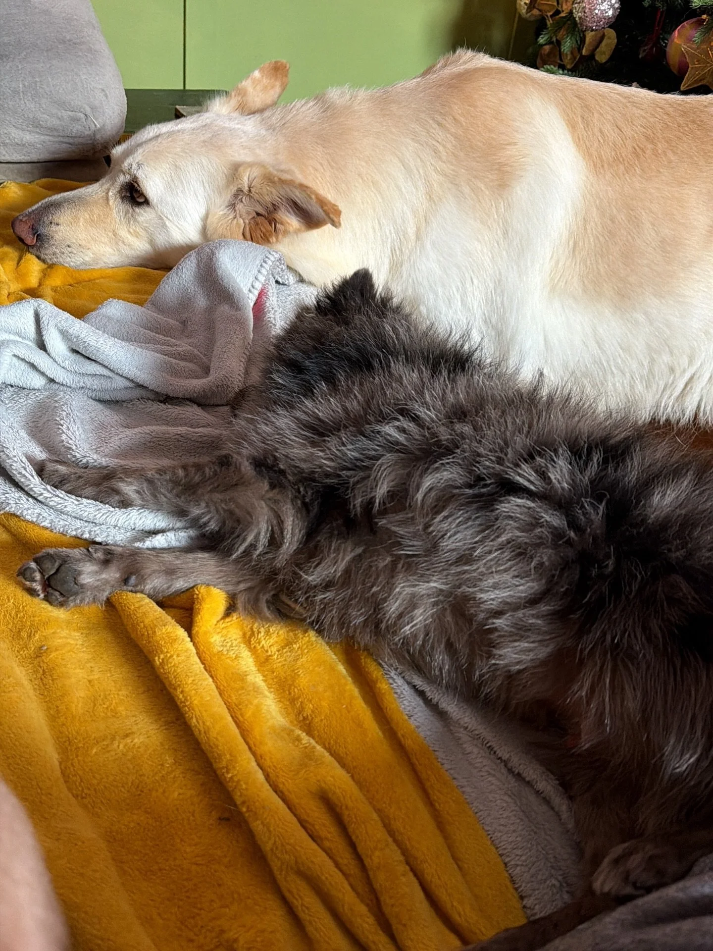 They live a hard life&hellip;