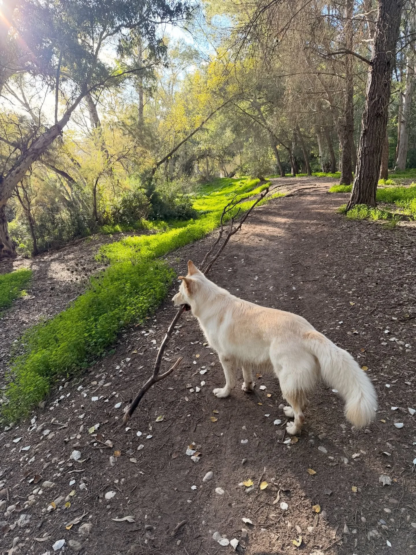 Go big or go home 🦖