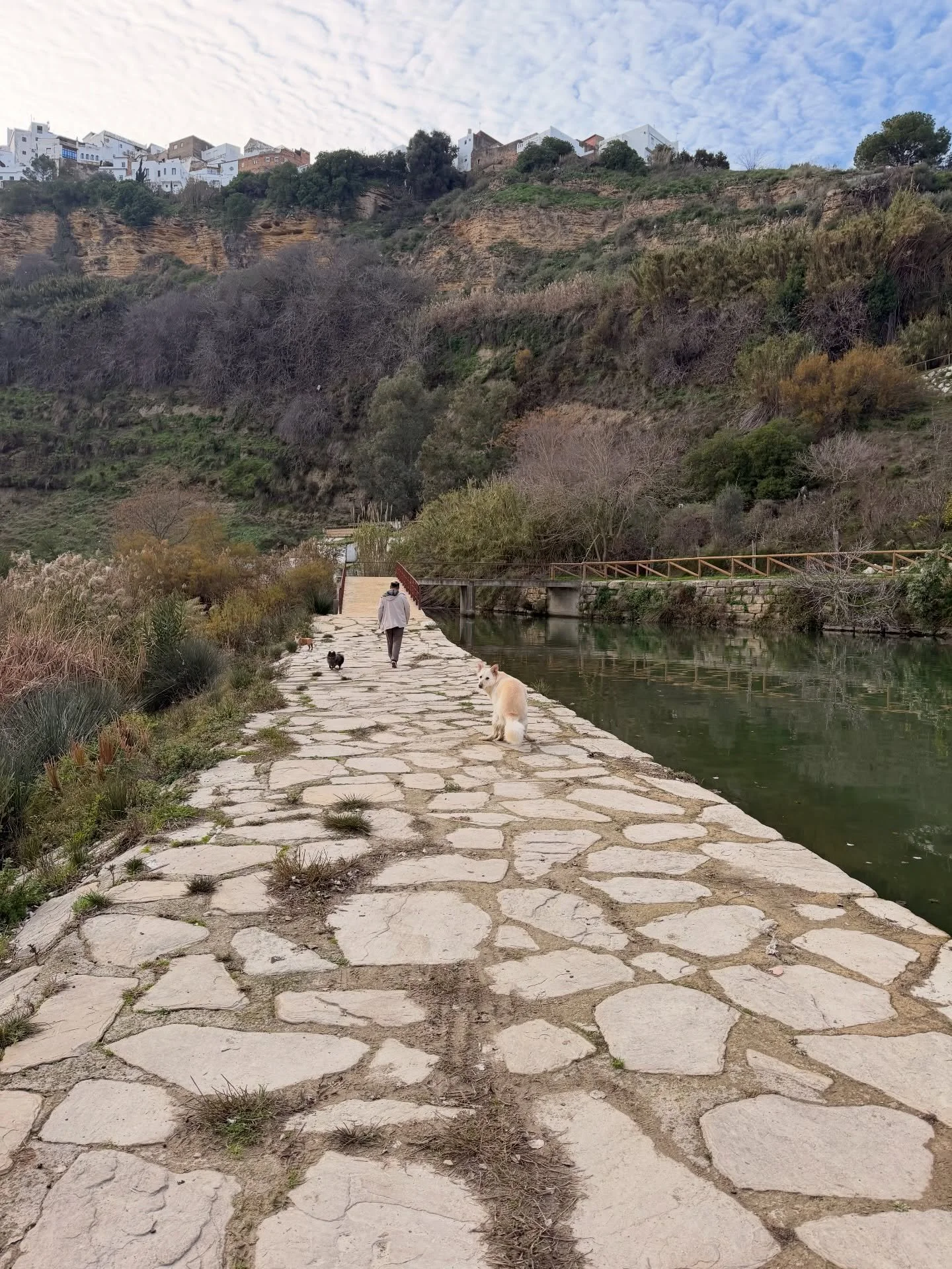 Toby: Me cago en tus muertos anos. 

Noche Buena 🎀