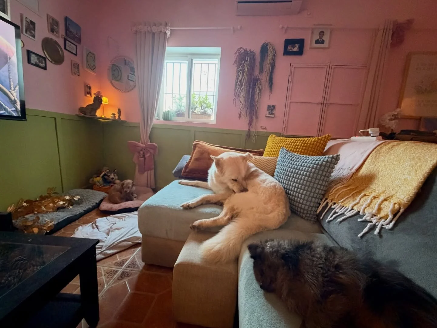 It&rsquo;s a hard life 🎀