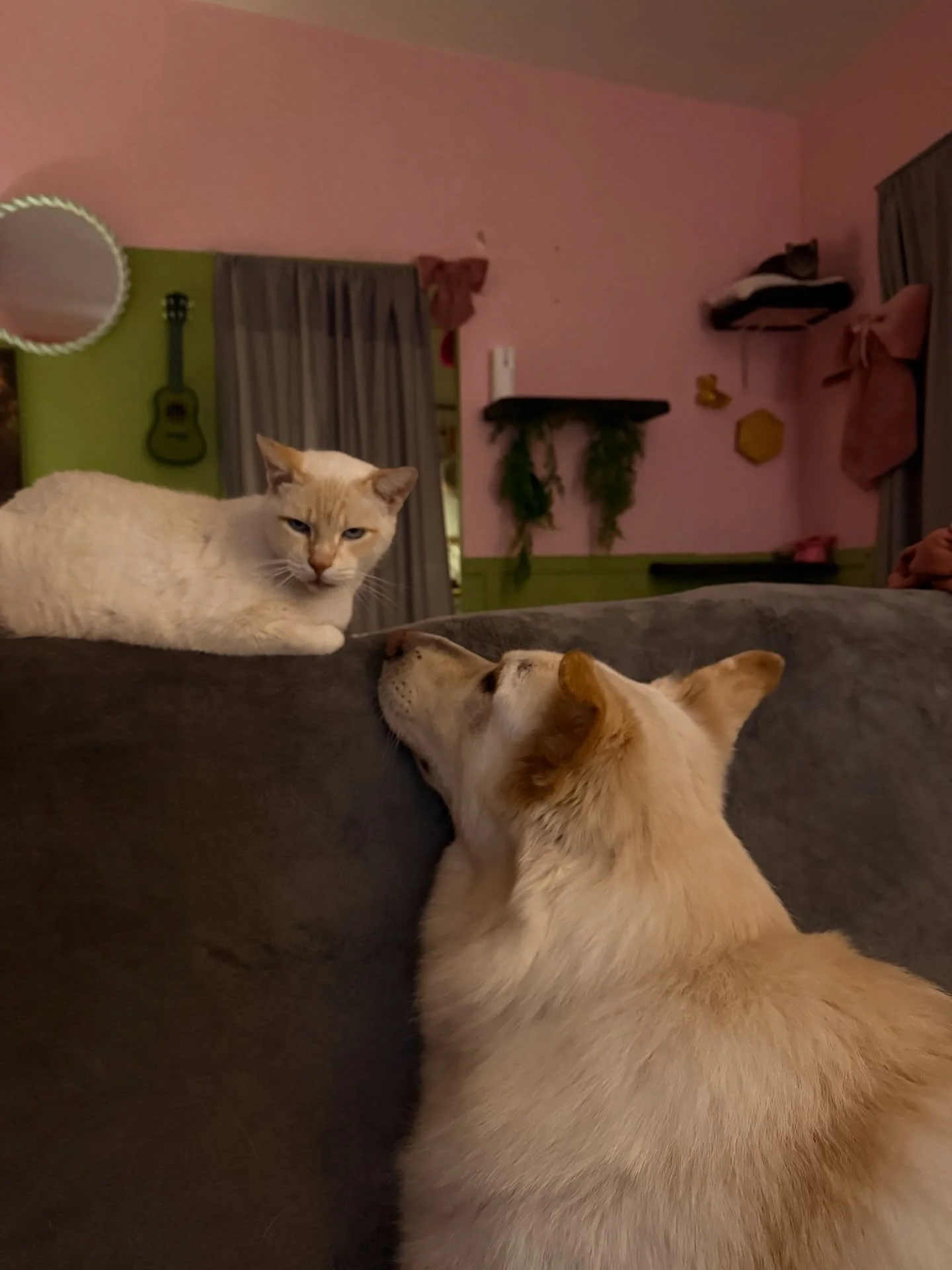 A picture carries the weight of a thousand words 🎀