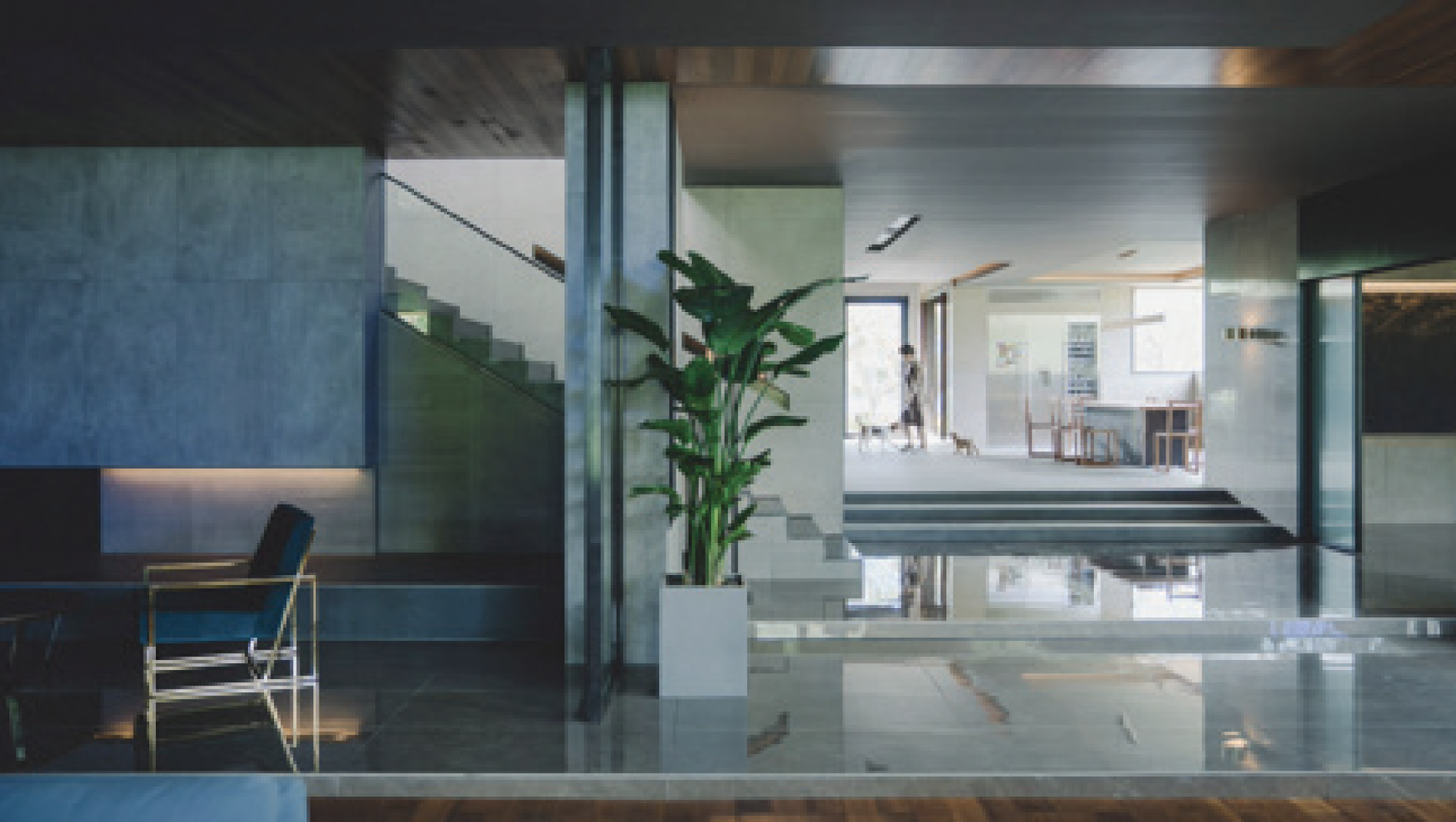 Electives — UTS Interior Architecture