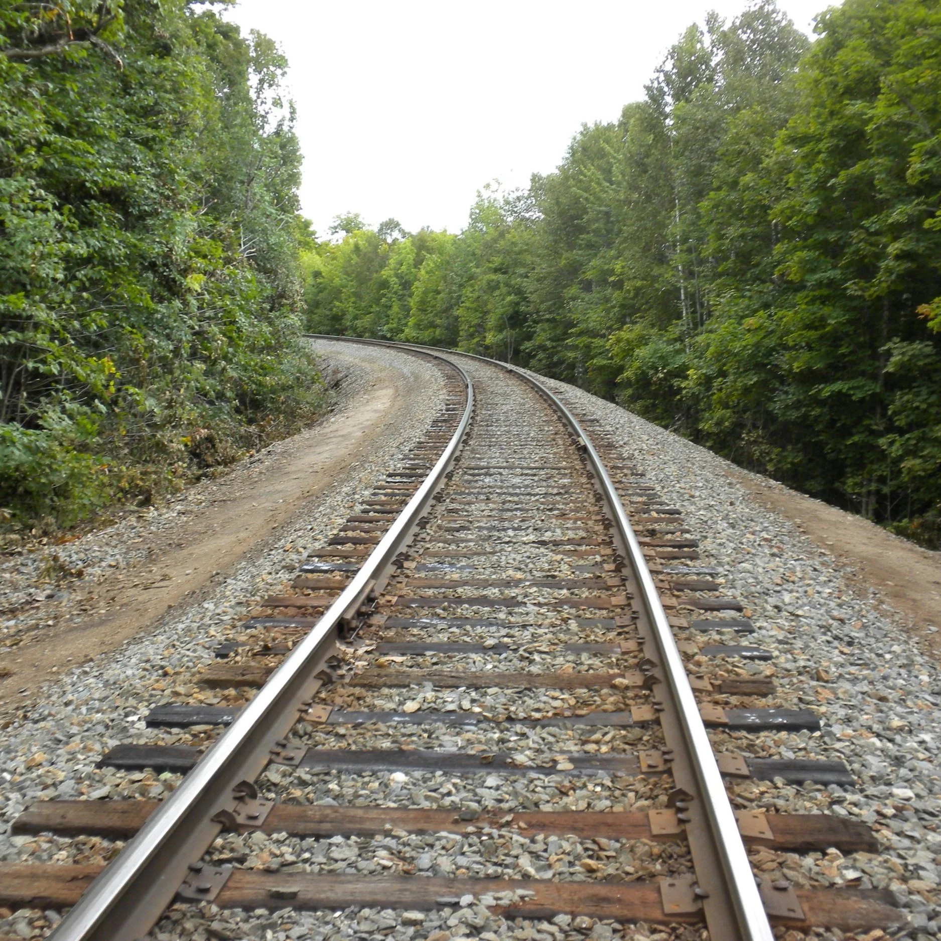 Where are the Medicine Makers?