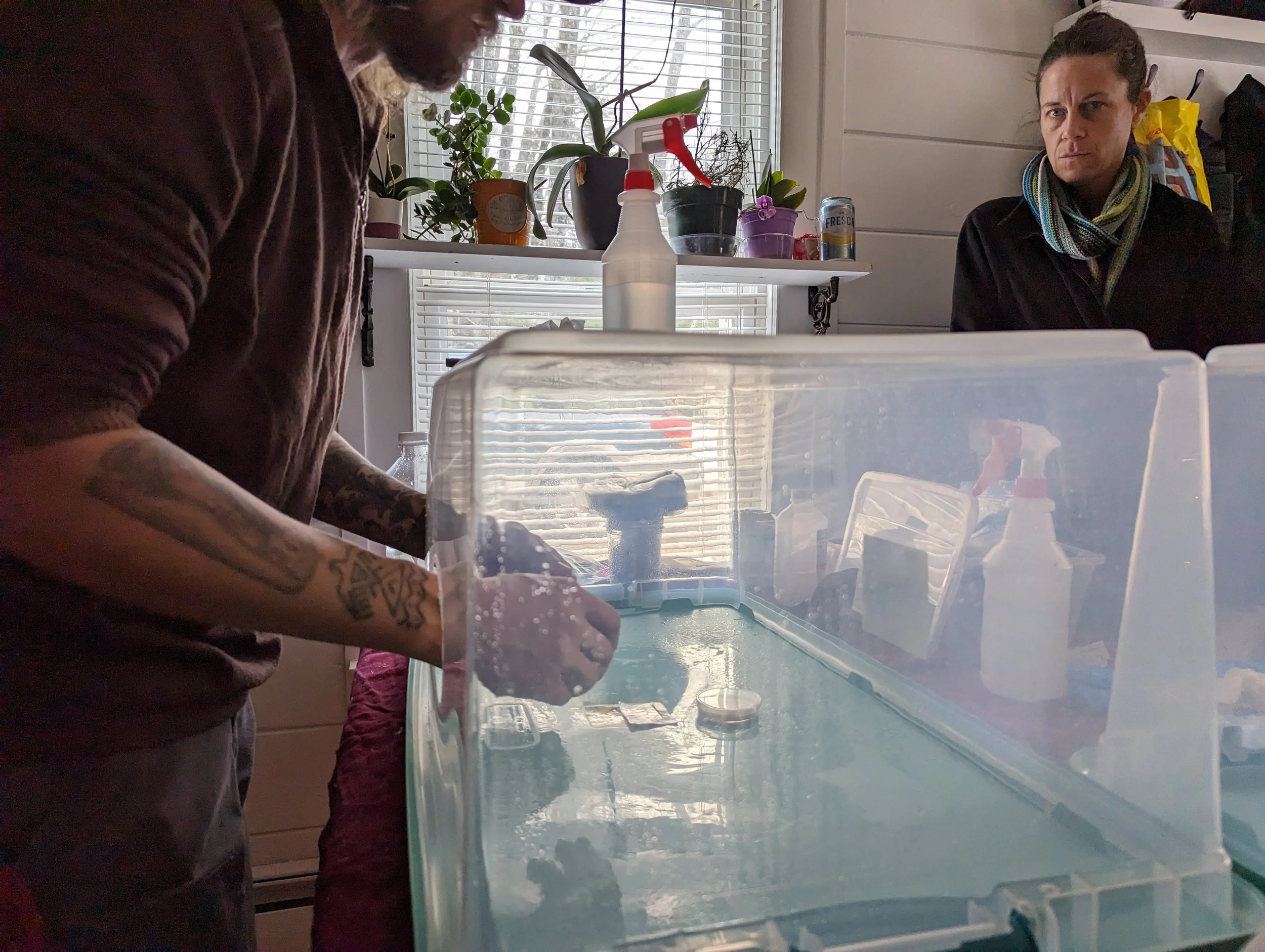 Mushroom growing classes