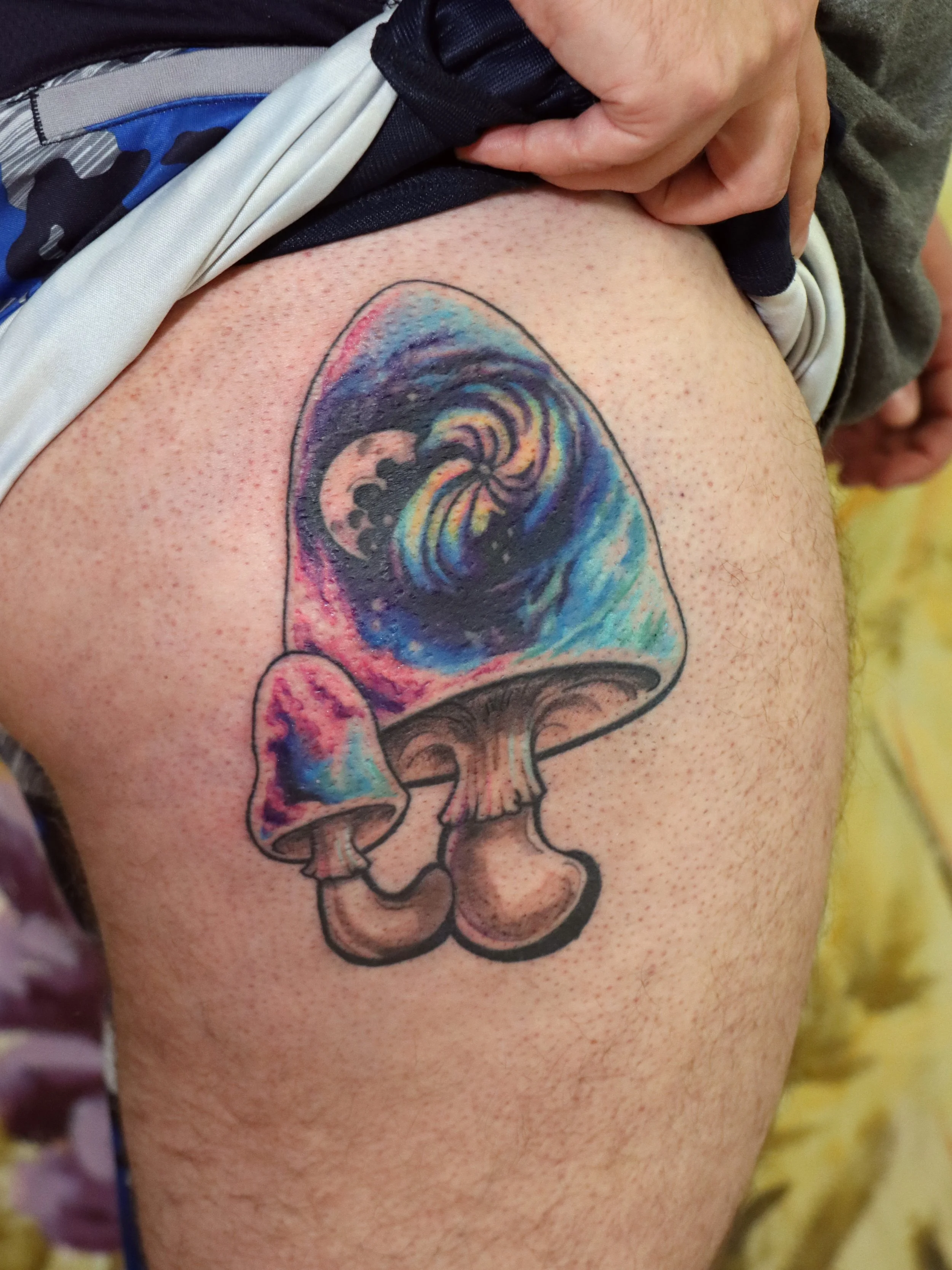 eoghan mushroom 2.jpg