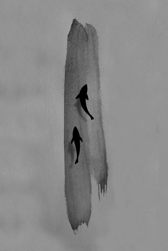 fish flash 2 bw-100.jpg