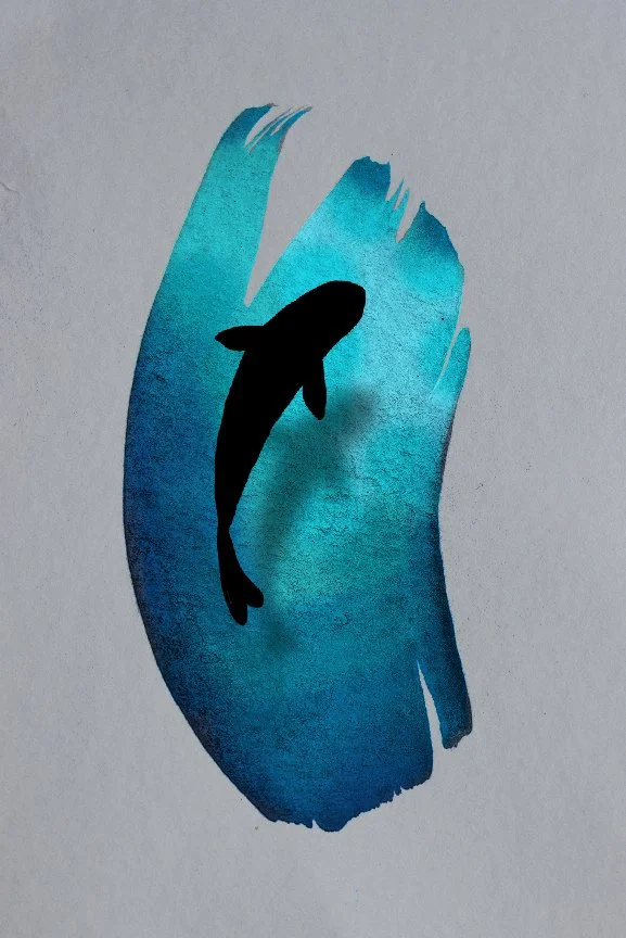 fish flash 1 color-100.jpg