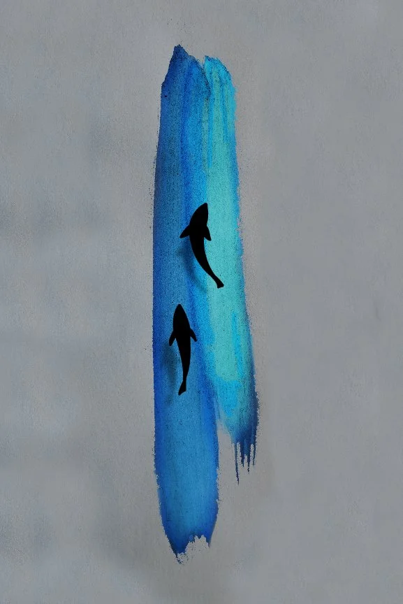 fish flash 2 color-100.jpg