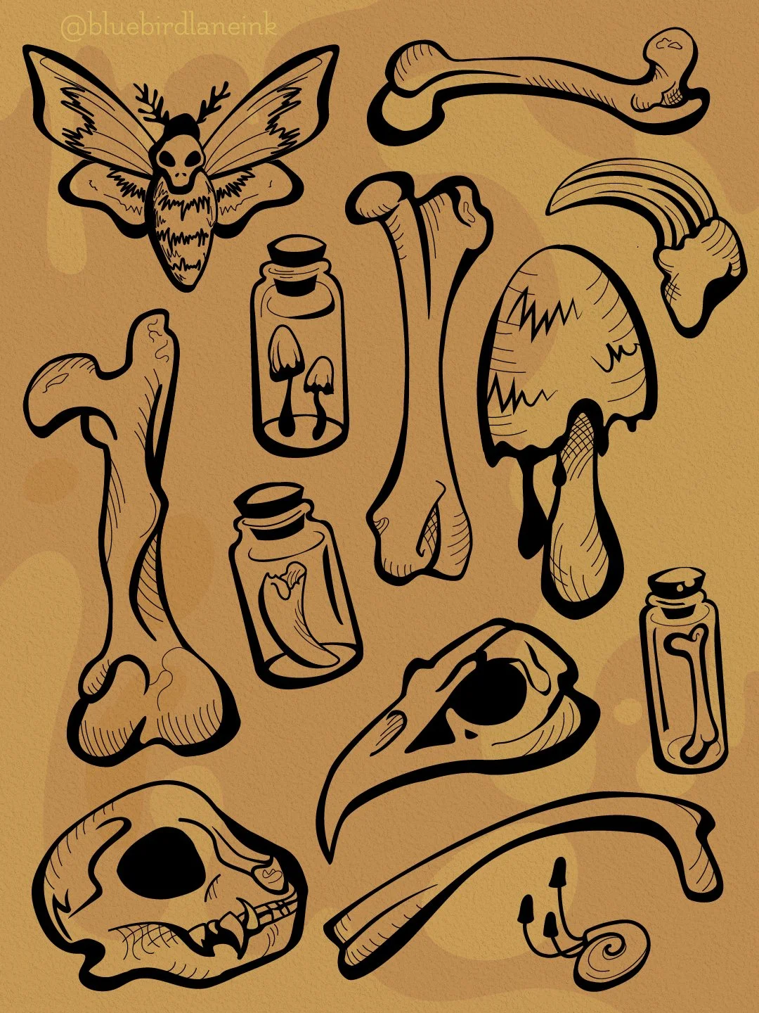 bones flash-100.jpg