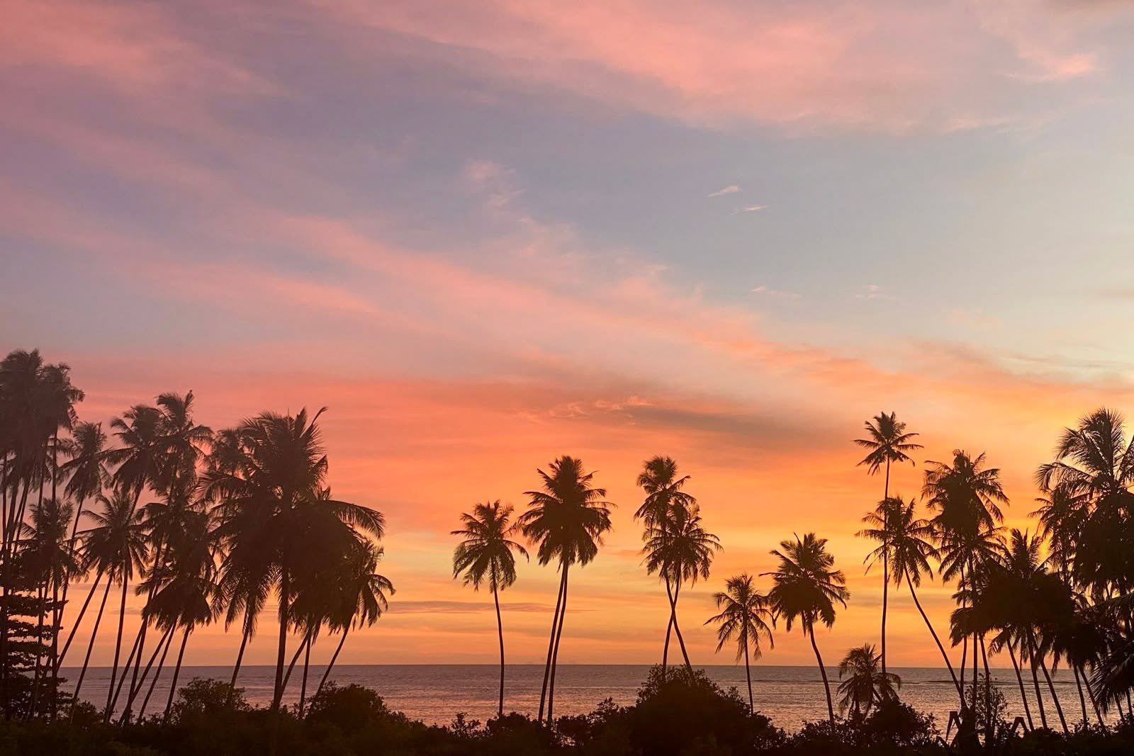 Telo Island Dreaming

Get in touch to secure your trip
 www.telobeachhouse.com

 #TeloBeachHouse #TeloIslands #SunsetSurf #SurfEscape #IslandLife #IndonesiaSurf #EmptyLineups