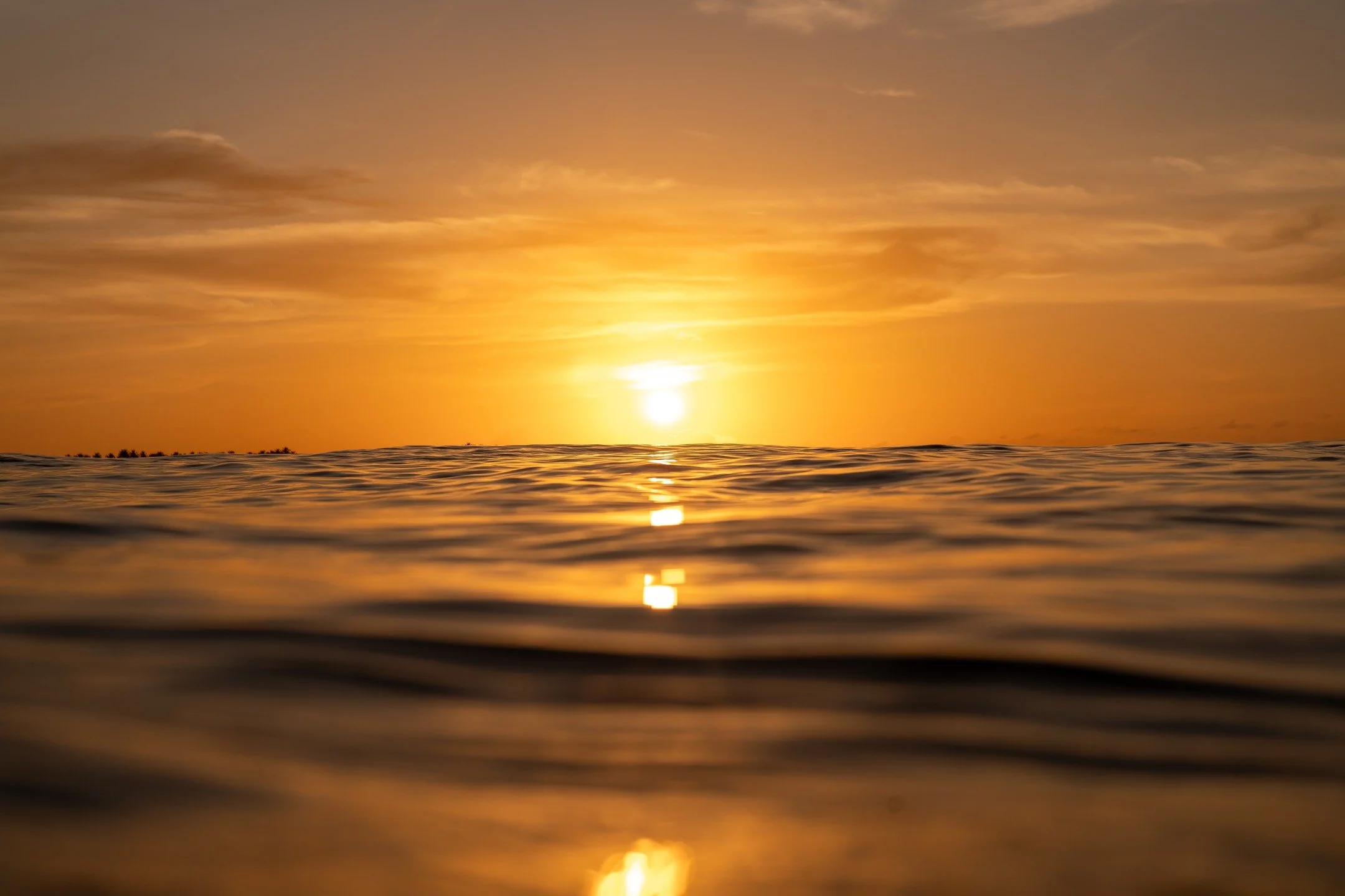 Golden hour magic, Nothing beats a Telo sunset from the water.

Book your 2026 surf escape now before it&rsquo;s gone www.telobeachhouse.com

📸 @byronwaves

#telobeachhouse #surftrip2026 #teloislands #gettinghere #surfresort #indosurf #adventureawai