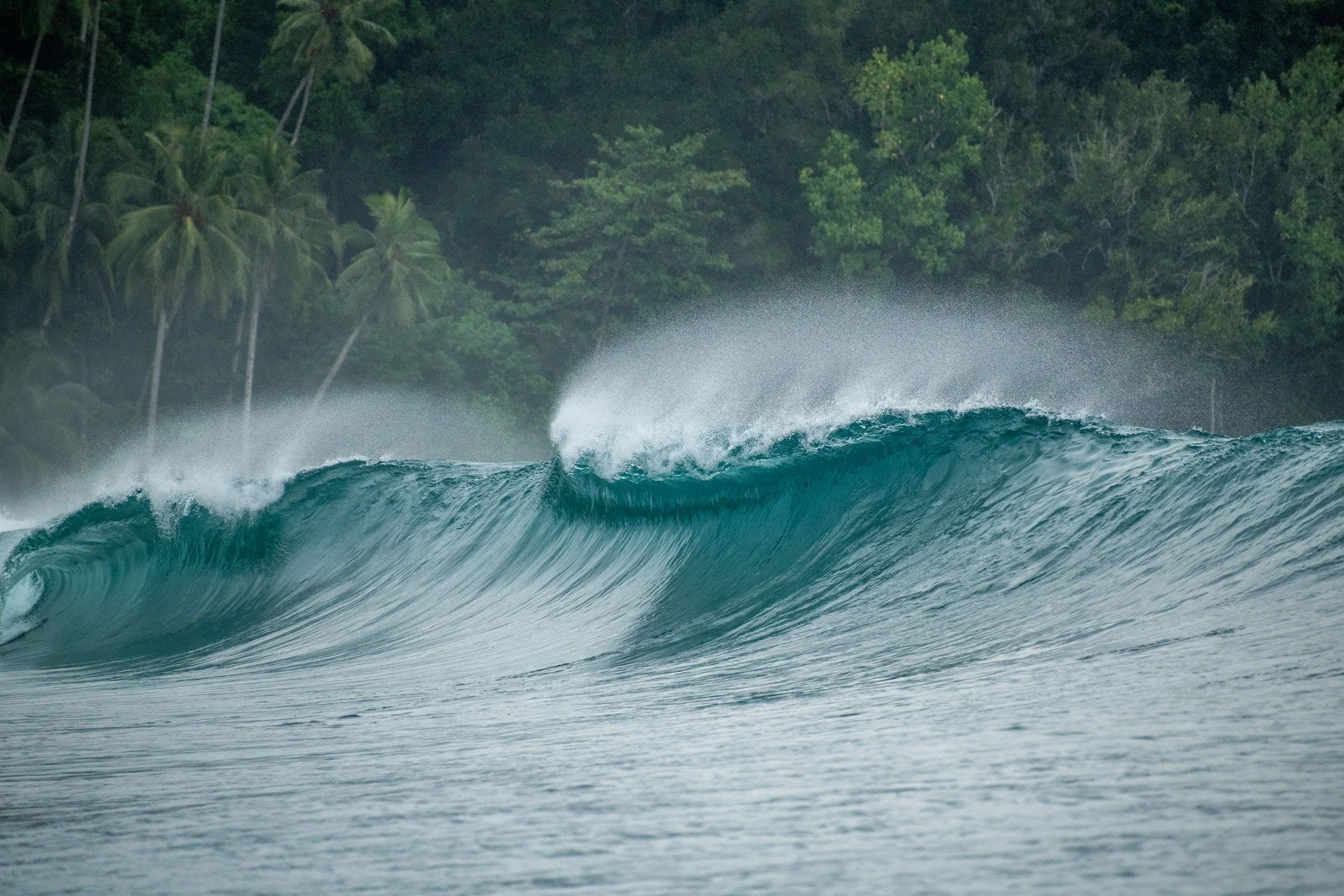 Power and perfection in the Telo Islands.

2026 Trips Now Open!
 &bull; Multiple trips available March &ndash; November 2026
 &bull; Limited spots (only 3 rooms per trip)
 &bull; Secure your preferred dates early!

Book now and don&rsquo;t miss your 