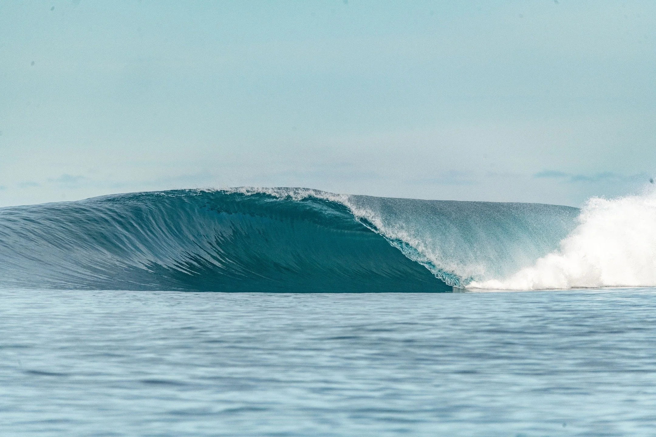 Telo Perfection!

2026 Trips Available - Lock it in now &rarr; www.telobeachhouse.com
 
📸 @byronwaves

#telobeachhouse #teloislands #surftrip2026 #uncrowdedwaves #surfresort #tropicalescape