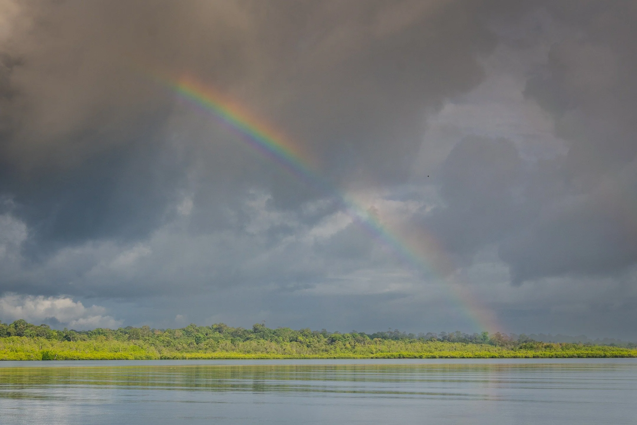 Follow the Rainbow to Telo beach house in 2026.

2026 Trips Available :
 &bull; Mar 2 &ndash; 14 (3 rooms available)
 &bull; Mar 16 &ndash; 28 (3 rooms available)
 &bull; Apr 13 &ndash; 25 (3 rooms available)
 &bull; Apr 27 &ndash; May 9 (3 rooms ava