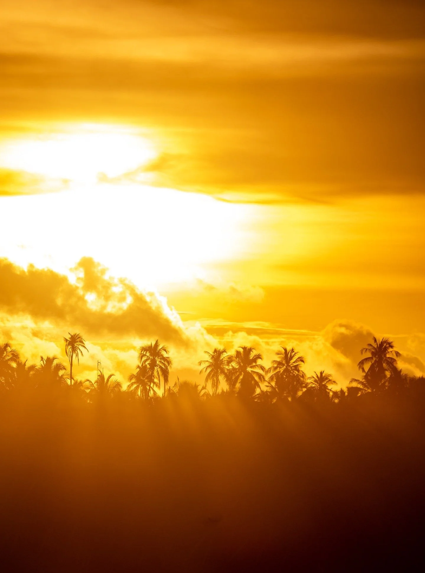 Tropical sights &amp; afternoon delights!.

Telo Beach House 2026 bookings are open &mdash; secure your spot now at www.telobeachhouse.com 

#telobeachhouse #sunsetvibes #teloislands #tropicalsunset #surftrip2025 #indosurf #islandlife #eveningmagic