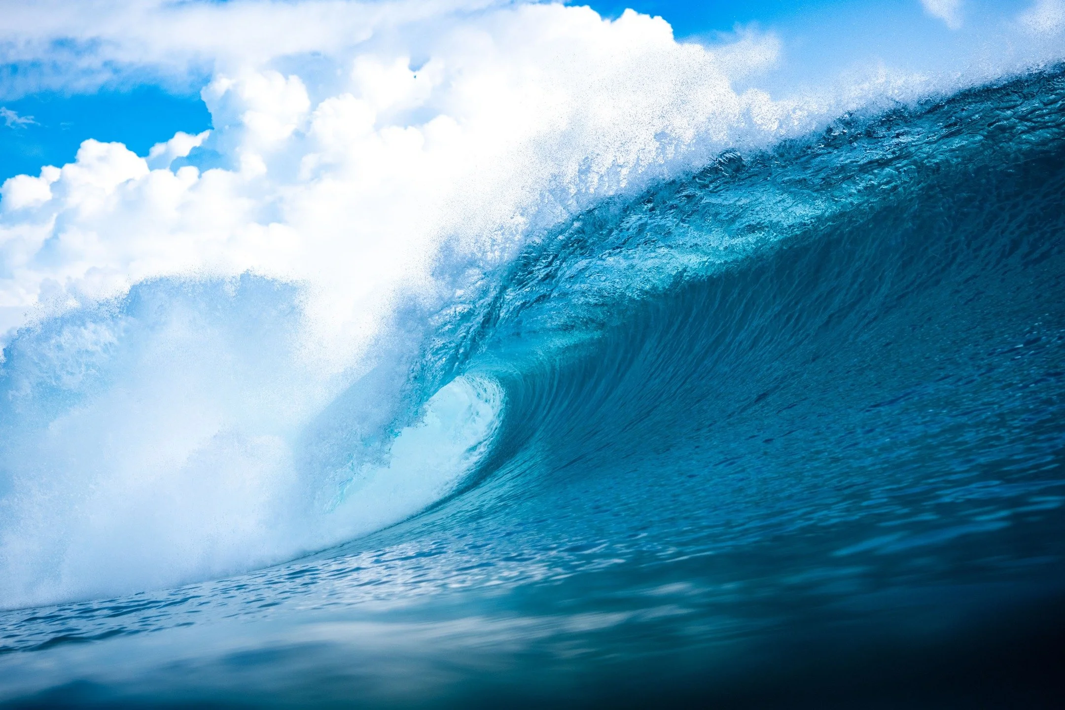 Uncrowded waves, palm-lined perfection &mdash; this is Telo Beach House.

Don&rsquo;t miss your spot &rarr; www.telobeachhouse.com

#TeloBeachHouse #TeloIslands #SurfTrip2026 #UncrowdedWaves #TropicalEscape