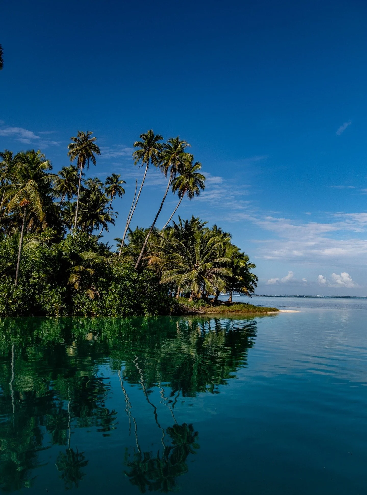 About as tropical as tropical gets!.

Don&rsquo;t miss your spot &rarr; www.telobeachhouse.com

#TeloBeachHouse #TeloIslands #SurfTrip2026 #UncrowdedWaves #TropicalEscape