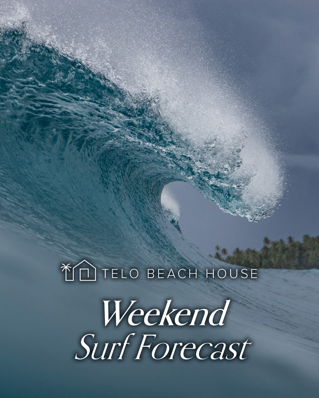 Good waves this weekend again! But get out there early before the wind see report below :

Friday, 19 Dec
&bull; Wave Height: ~ 1.4&ndash;1.7 m (&asymp; 4.5&ndash;5.5 ft) &mdash; solid mid-size energy continuing
&bull; Swell Direction: SW / SSW &mdas